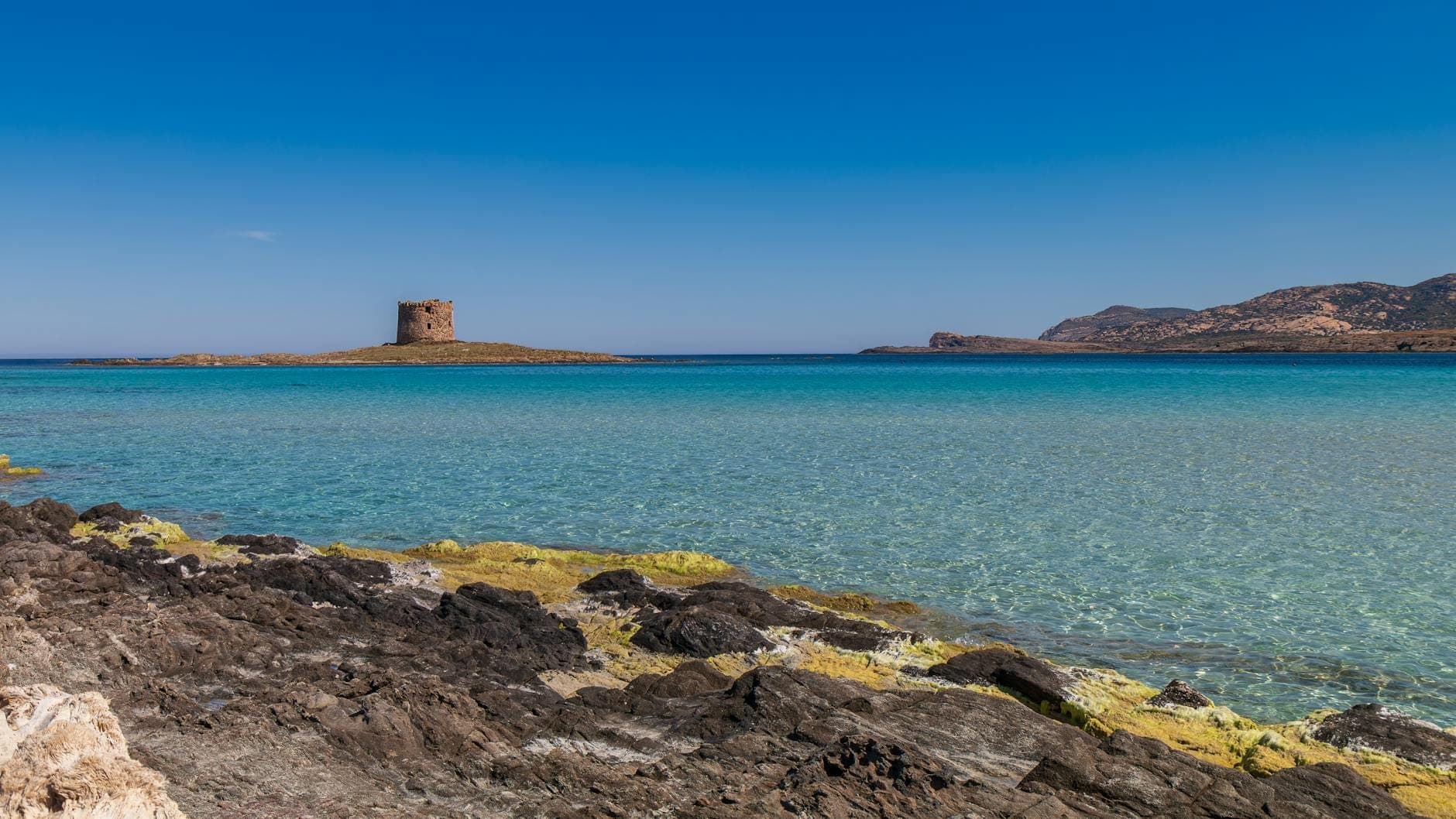 Aguas turquesas cristalinas y arena blanca en la playa La Pelosa de Cerdeña, con una histórica torre de vigilancia española y montañas bajo un cielo azul intenso.