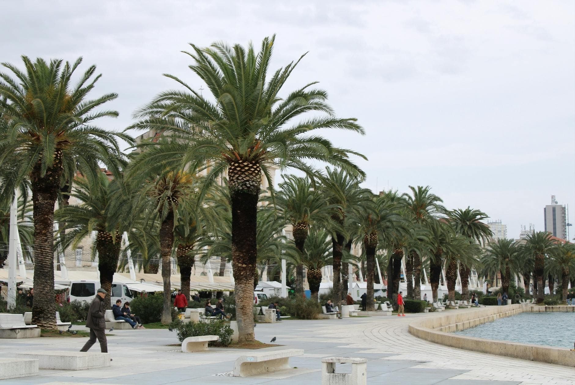 Promenade de Split bordée de palmiers avec quelques personnes se promenant sous un ciel légèrement couvert, évoquant la douceur de l'hiver méditerranéen.