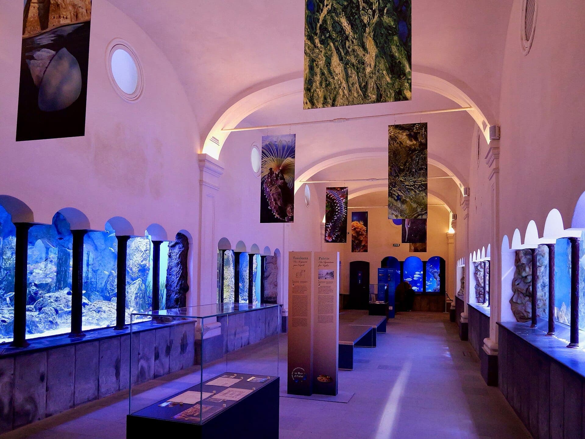 Vista interior da Stazione Zoologica Anton Dohrn mostrando os tanques do aquário com vida marinha do Mediterrâneo e painéis informativos sob tetos abobadados.