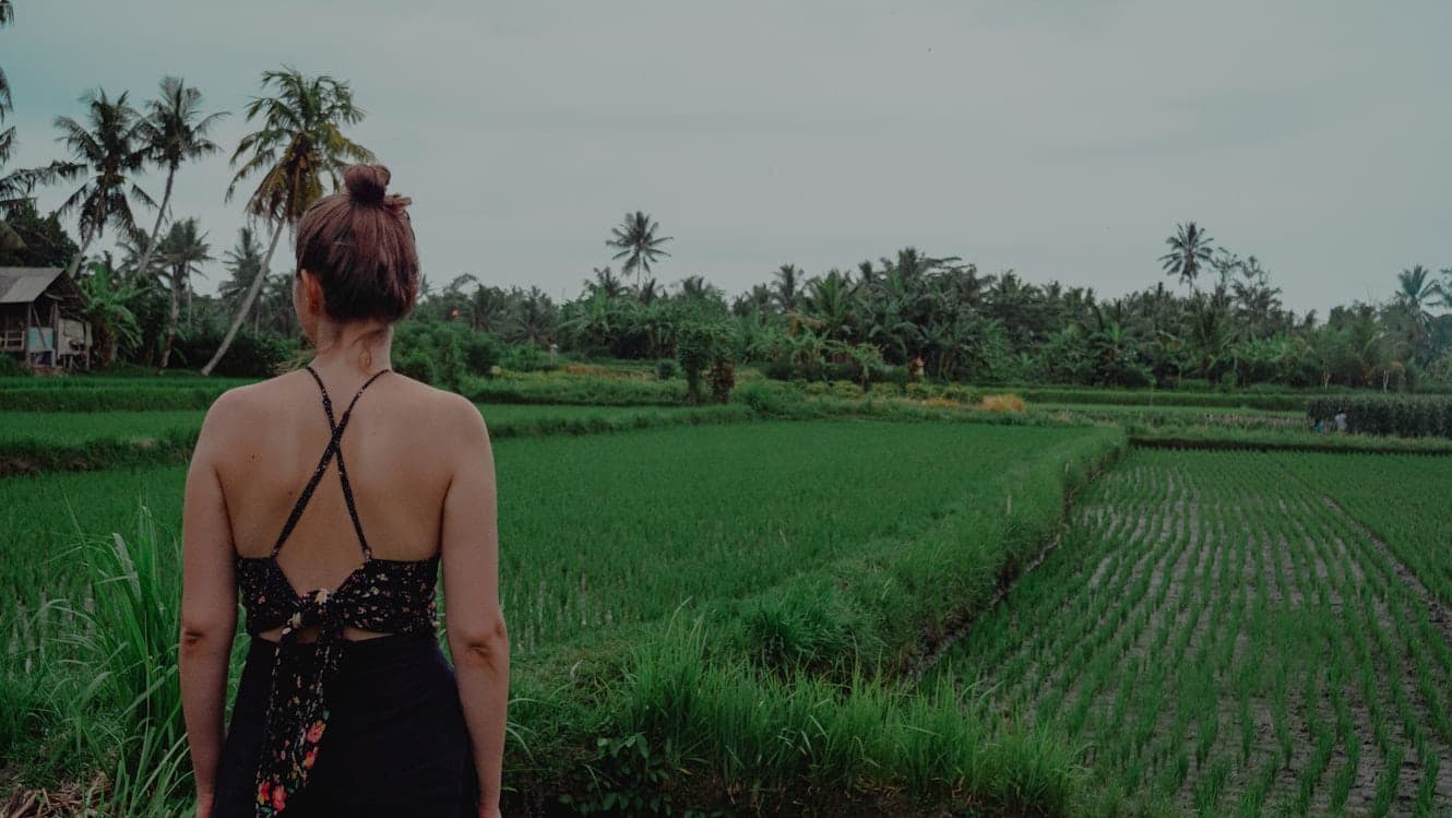 Rice terraces landscape in Ubud with traveler overlooking tropical Bali countryside