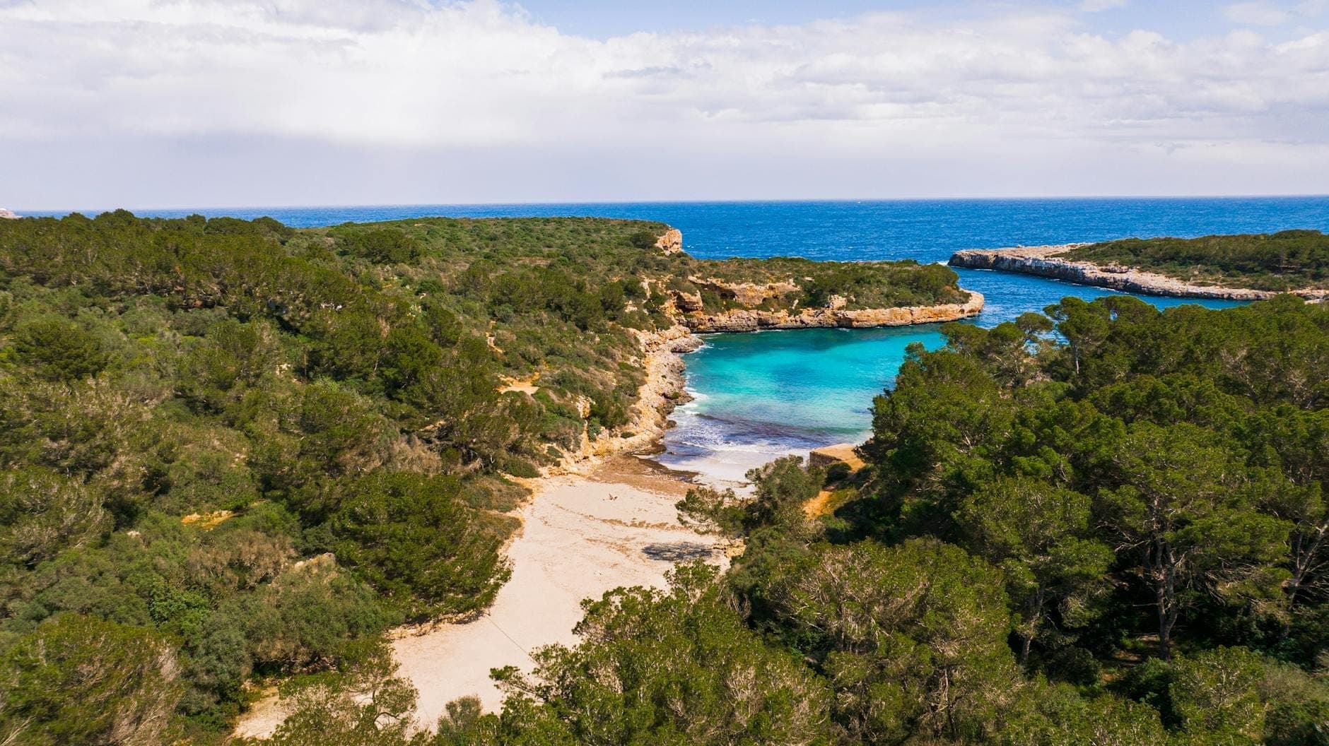Vista aerea di una baia sabbiosa isolata con acque turchesi circondata da pini e costa rocciosa, tipica delle spiagge nascoste di Mallorca.