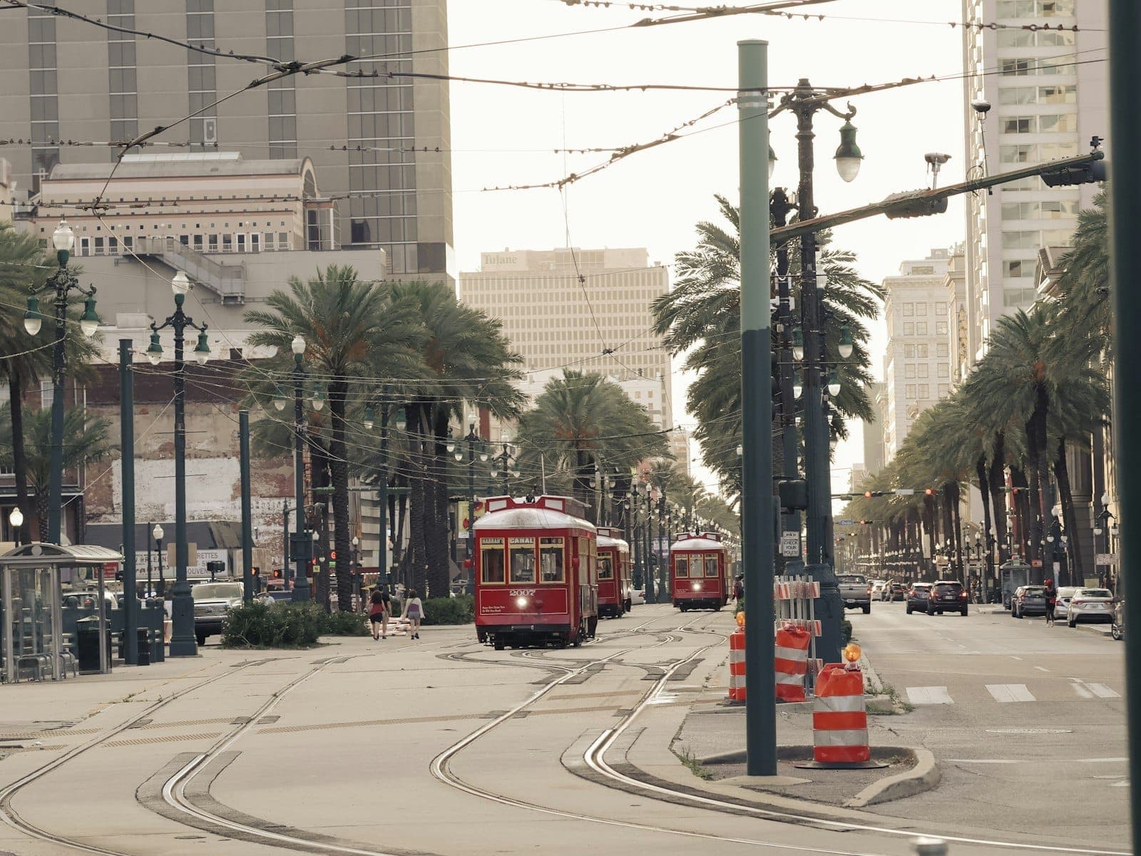 Green St. Charles streetcar traveling along a palm-lined avenue in Uptown New Orleans.