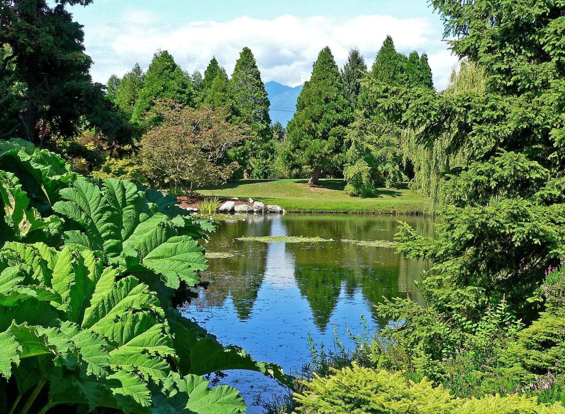 ต้นไม้เขียวชอุ่มและต้นสนสูงล้อมรอบสระน้ำอันสงบในสวน VanDusen Botanical Garden ในวันที่แดดจ้าและสดใส