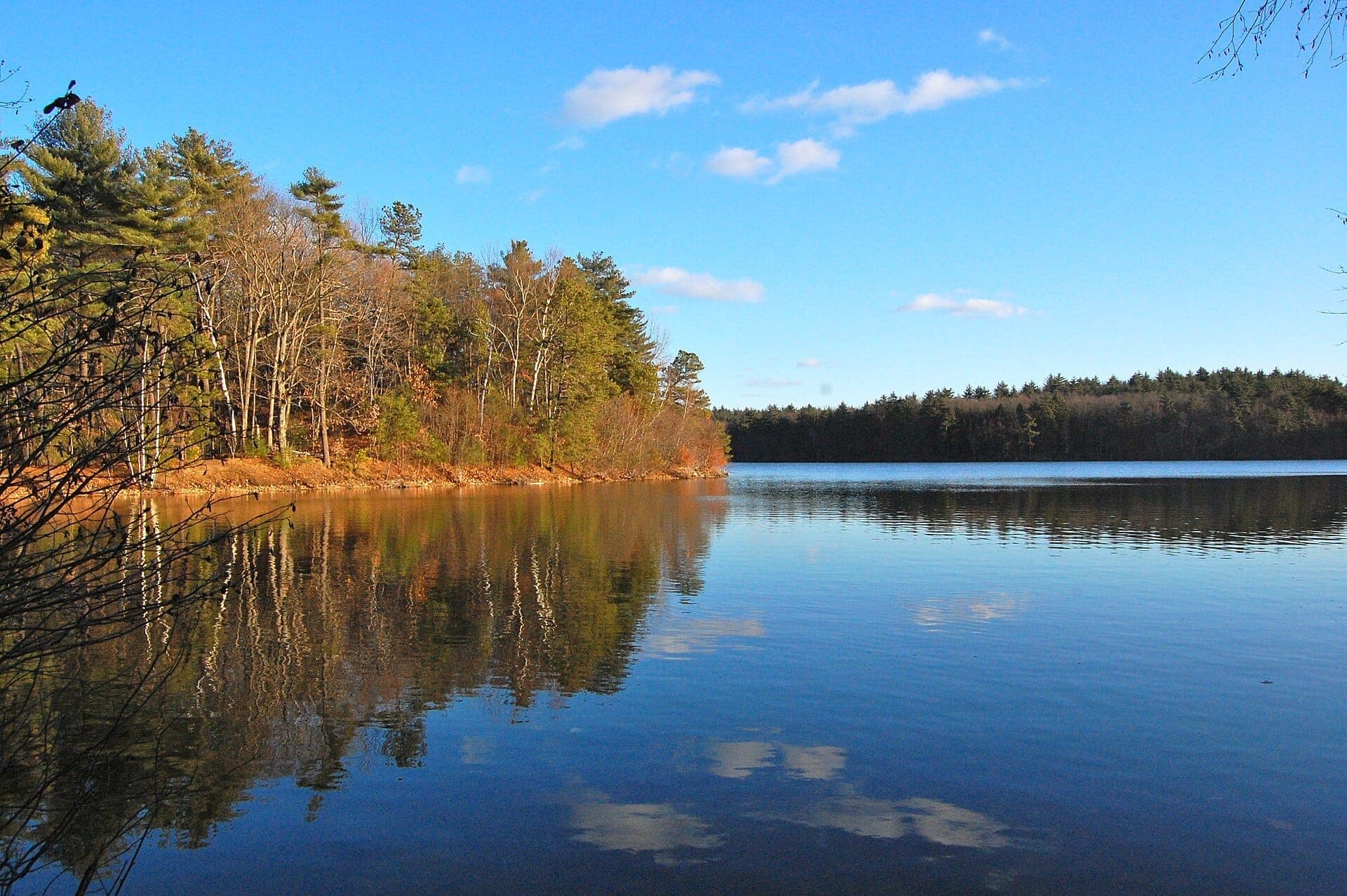 Rive de Walden Pond avec des arbres d'automne se reflétant sur l'eau bleue calme sous un ciel lumineux à Concord, Massachusetts.