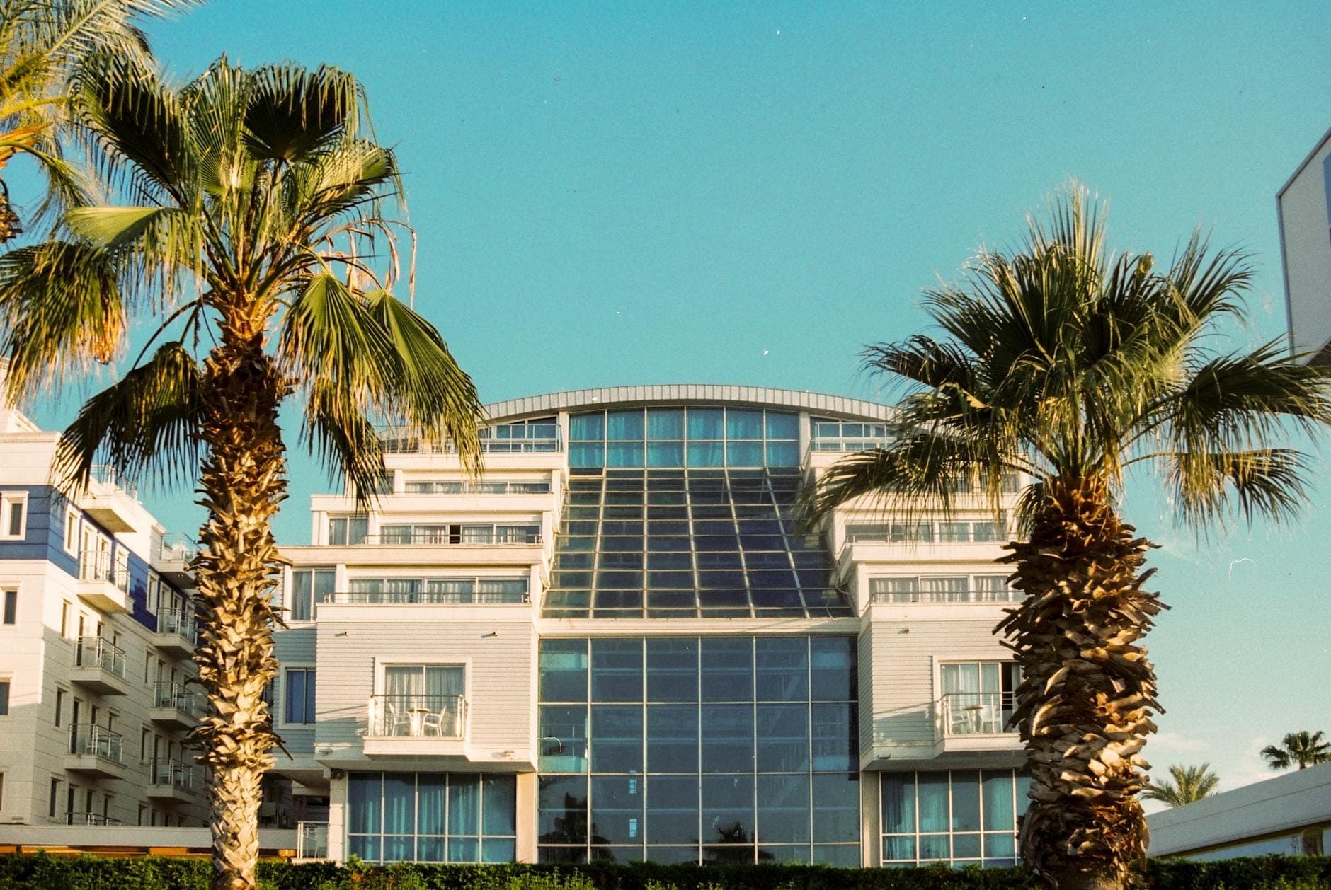 Hôtel moderne à Antalya encadré par deux grands palmiers, avec une façade en verre et un ciel bleu dégagé.