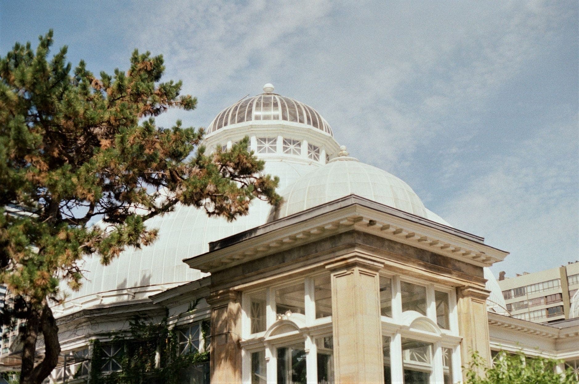 Vista esterna della cupola di vetro storica dell'Allan Gardens Conservatory e della sua architettura edoardiana, incorniciata da rami d'albero sotto un cielo azzurro nel centro di Toronto.