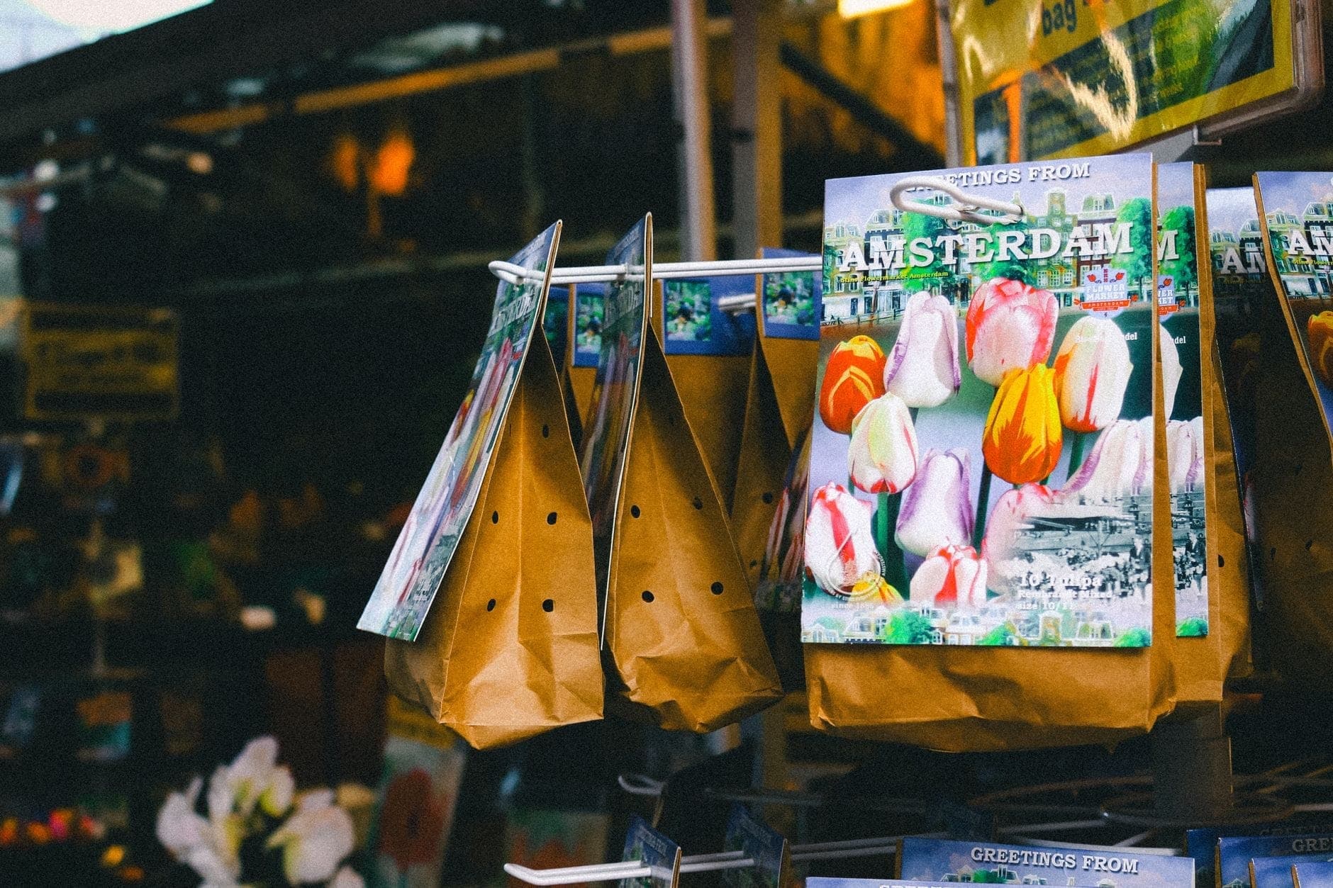 Pakete mit Tulpenzwiebeln mit der Aufschrift Amsterdam zum Verkauf an einem Marktstand, ein typisches holländisches Souvenir.