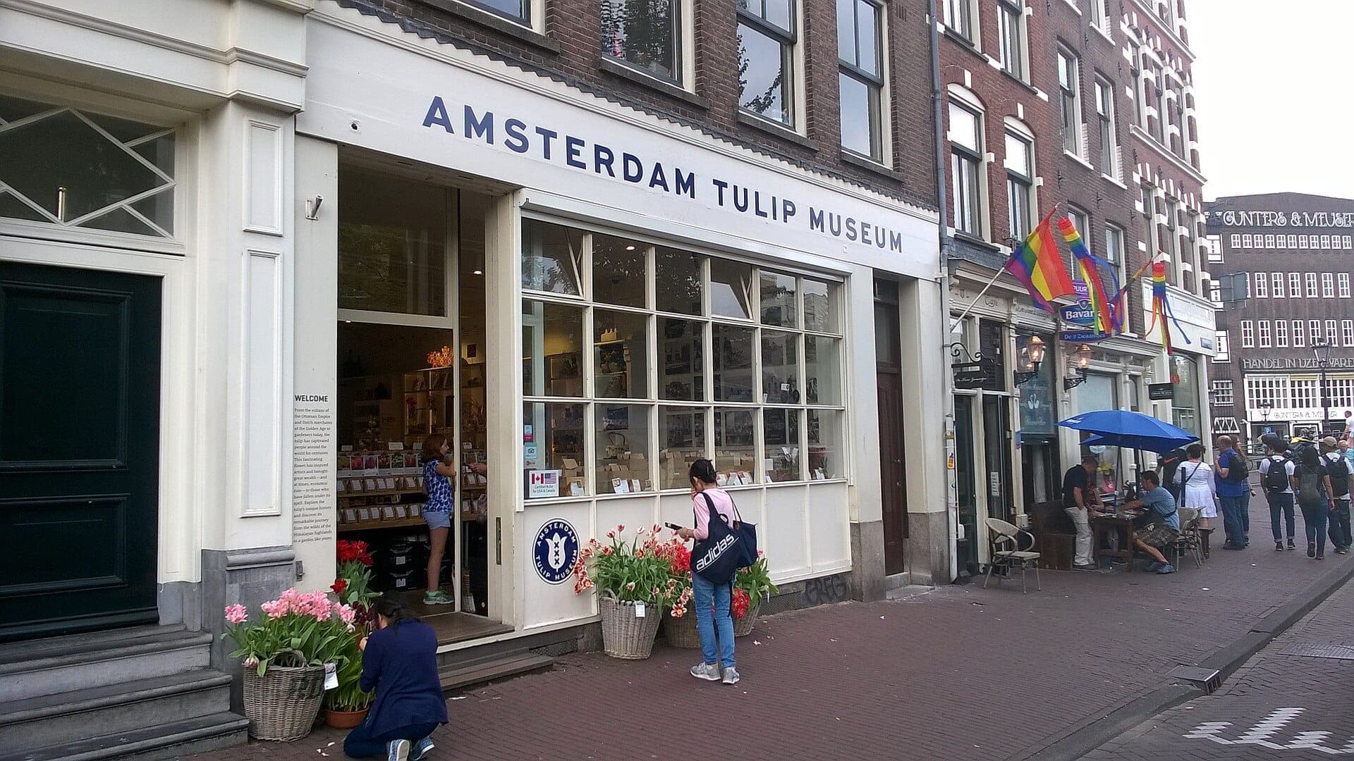 Eingang des Amsterdam Tulip Museum mit großen Schaufenstern, Körben voller Tulpen und Menschen, die das Museum und die umliegende Straße erkunden.