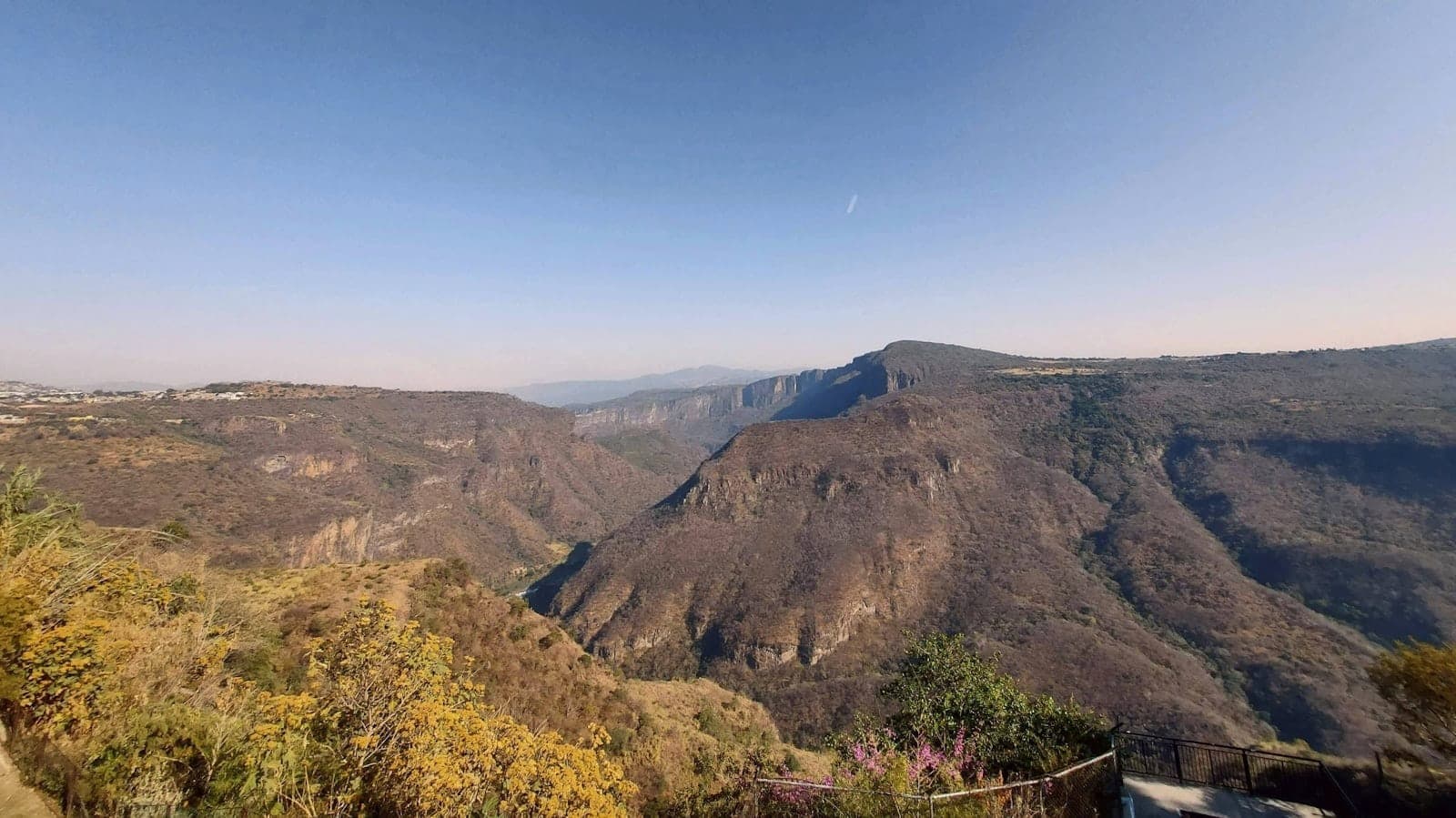 วิวกว้างของหน้าผาหุบเขา Barranca de Huentitán ใต้ท้องฟ้าสีฟ้าแจ่มใส พร้อมพืชพรรณแห้งแล้งและราวกันตกในเบื้องหน้า
