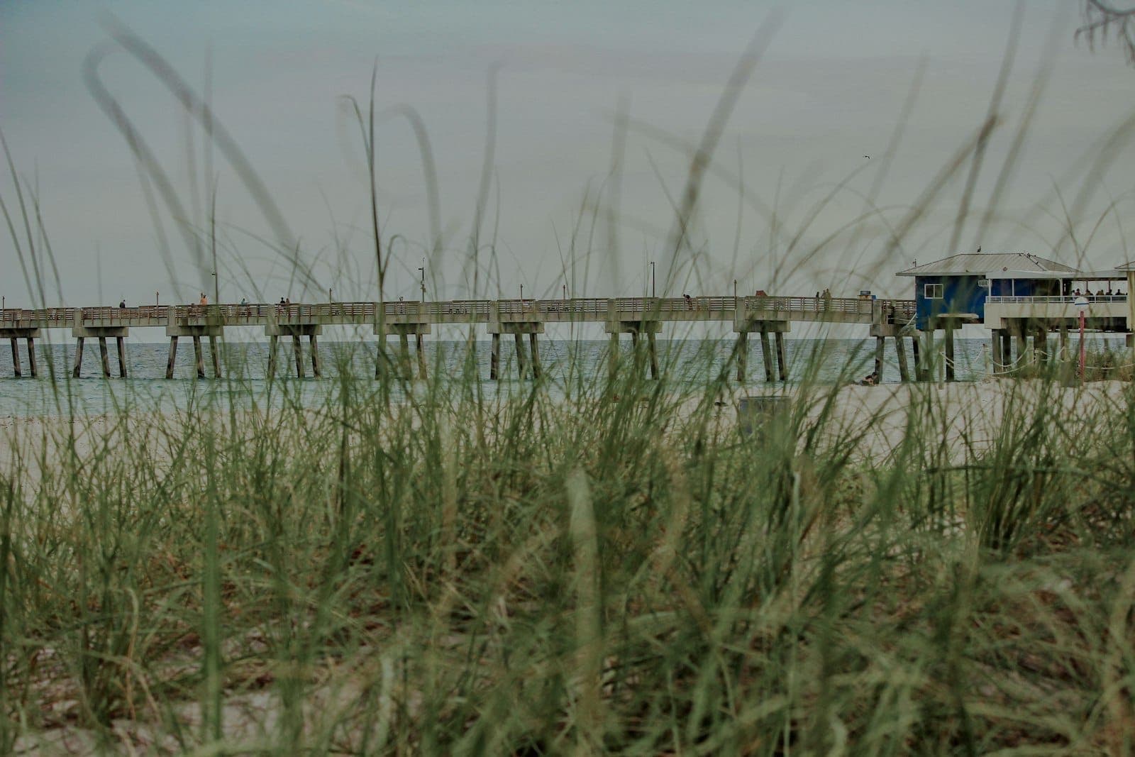 View of a pier and lifeguard hut seen through dune grass at a quiet beach, suggesting a hidden, natural Miami shoreline.