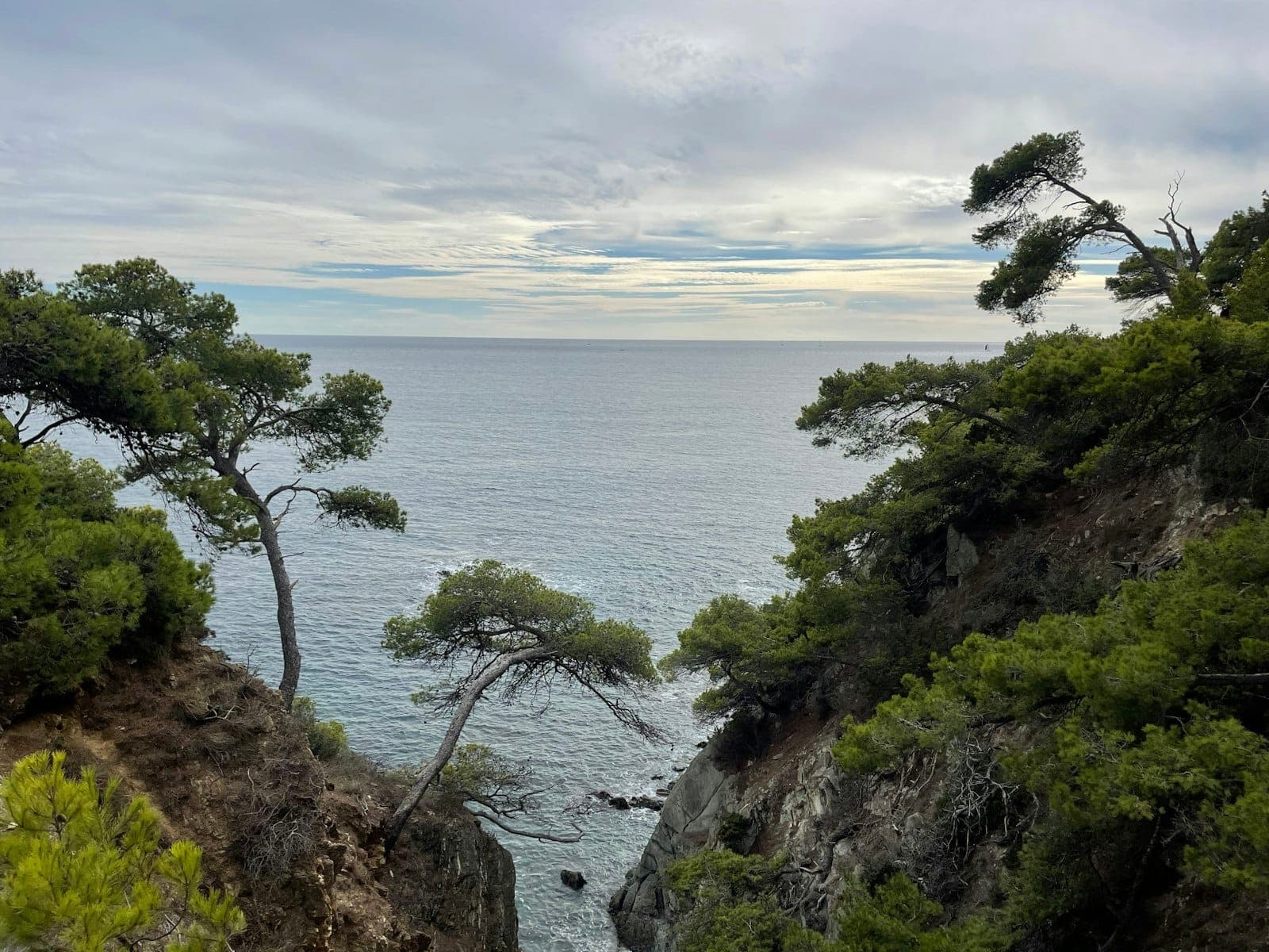 Crique isolée sur une côte rocheuse, encadrée par des pins, surplombant les eaux calmes de l'Adriatique sous un ciel partiellement nuageux.