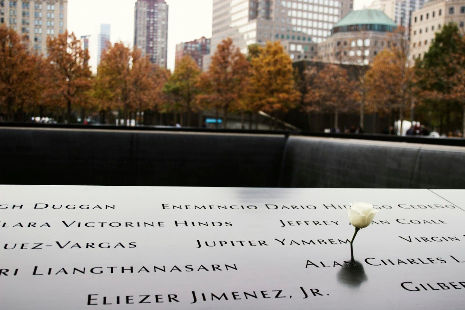 ภาพระยะใกล้ของ 9/11 Memorial ในนิวยอร์กซิตี้ แสดงชื่อที่แกะสลักพร้อมดอกกุหลาบขาวดอกเดียวและต้นไม้ในฤดูใบไม้ร่วงเป็นฉากหลัง