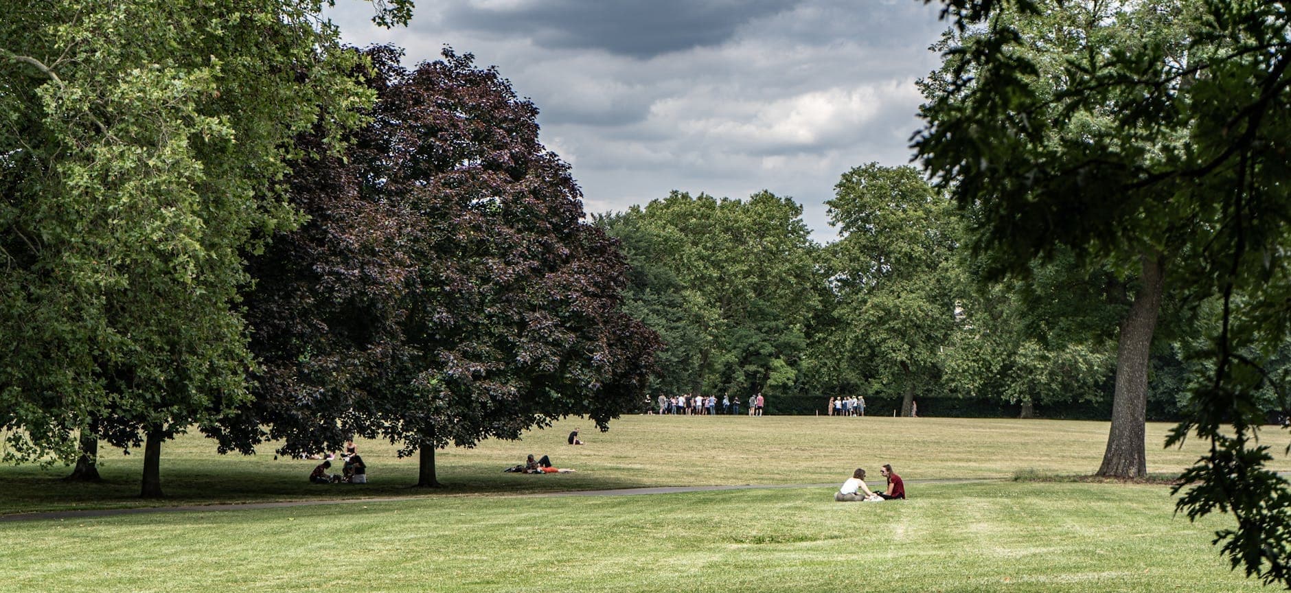 Weitläufige Rasenfläche in einem Park mit Menschen, die sich unter großen belaubten Bäumen in einer offenen Grünfläche unter bewölktem Himmel entspannen.
