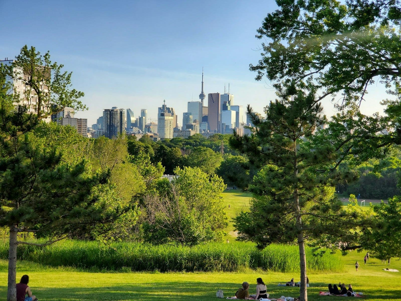 Pemandangan luas taman hijau dengan orang-orang bersantai di atas rumput, pepohonan membingkai cakrawala Toronto dan CN Tower di latar belakang pada hari yang cerah.