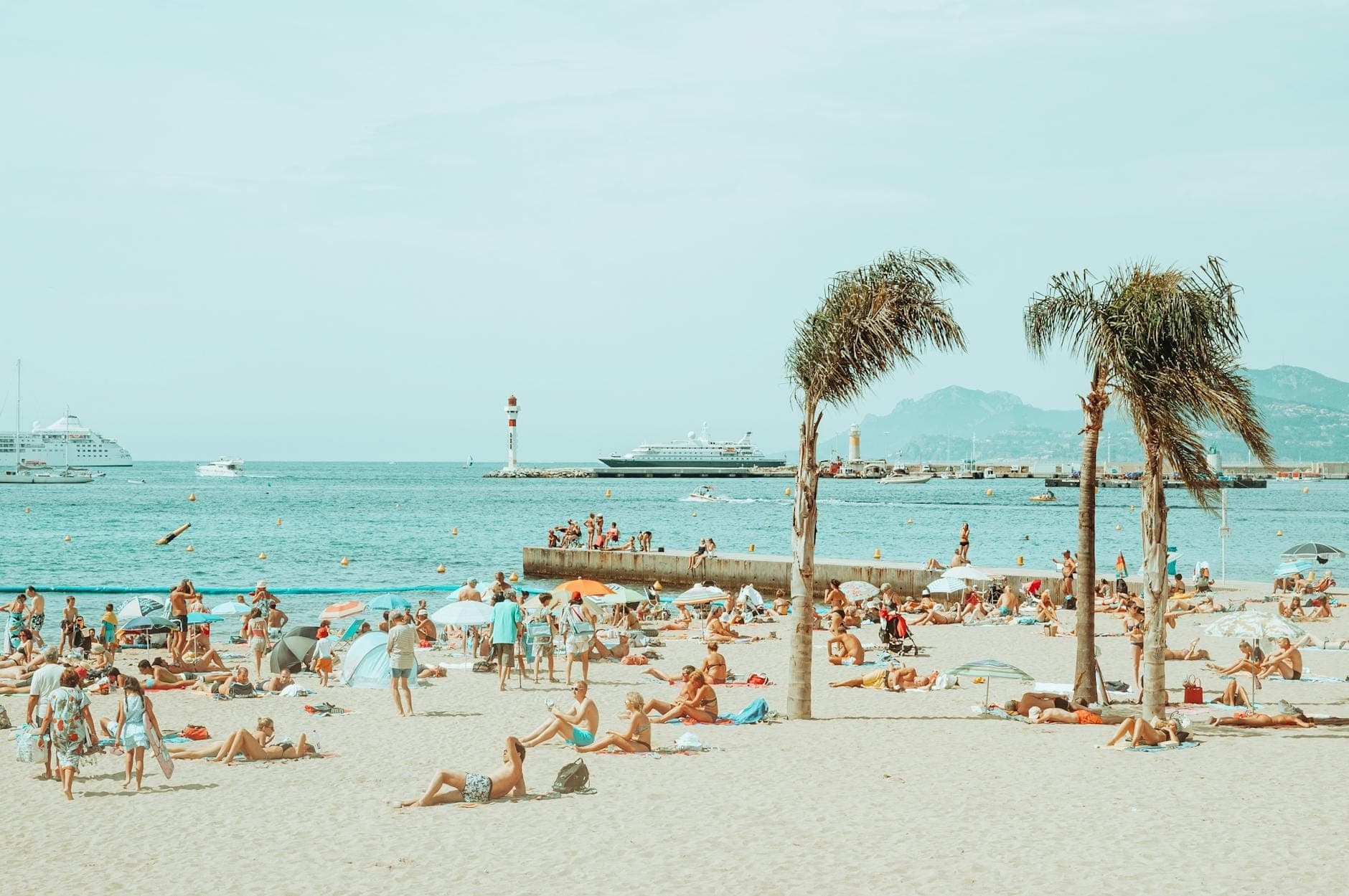 Affollata spiaggia di sabbia a Cannes con palme, ombrelloni e persone che si rilassano in riva al mare, con barche e montagne sullo sfondo.