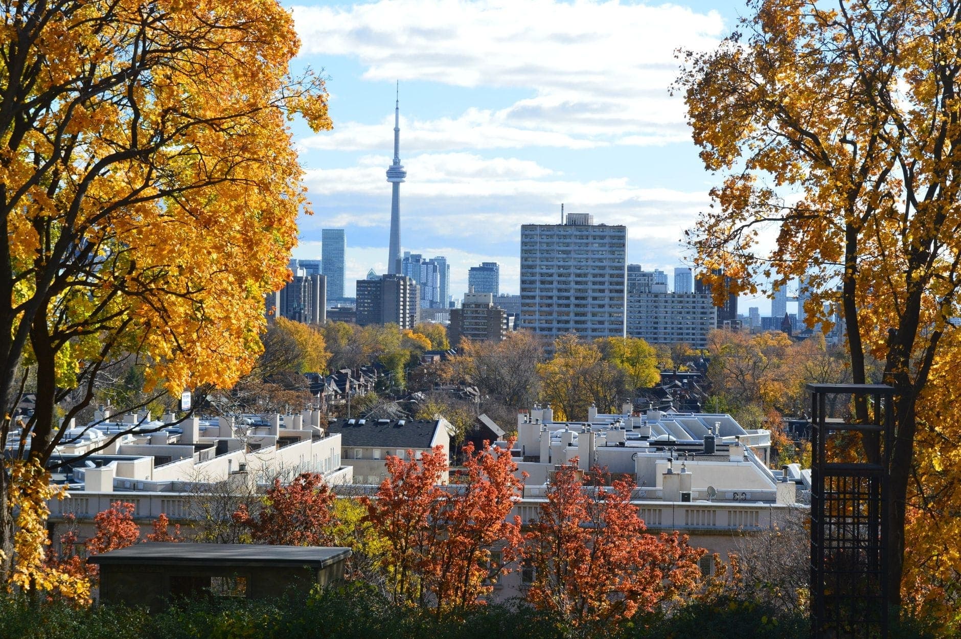 Skyline di Toronto con la CN Tower, incorniciato da un vivace fogliame autunnale sugli alberi della città sotto un cielo azzurro.