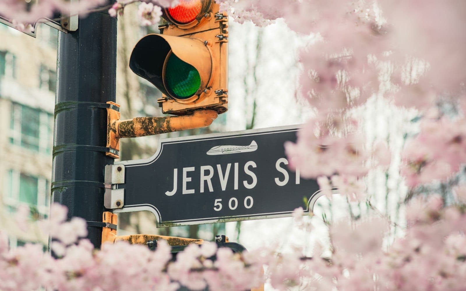 ภาพถนนในแวนคูเวอร์พร้อมป้าย Jervis St. และสัญญาณไฟจราจรที่ล้อมรอบด้วยดอกซากุระบานในฤดูใบไม้ผลิ
