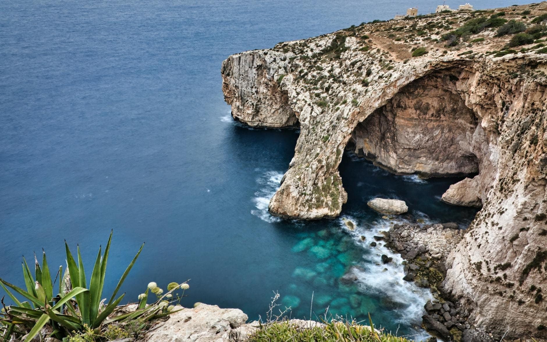 Weiter Blick auf Maltas Blaue Grotte mit dramatischen Kalksteinklippen, einem großen Felsbogen, türkisblauem Wasser und Küstenpflanzen im Vordergrund.