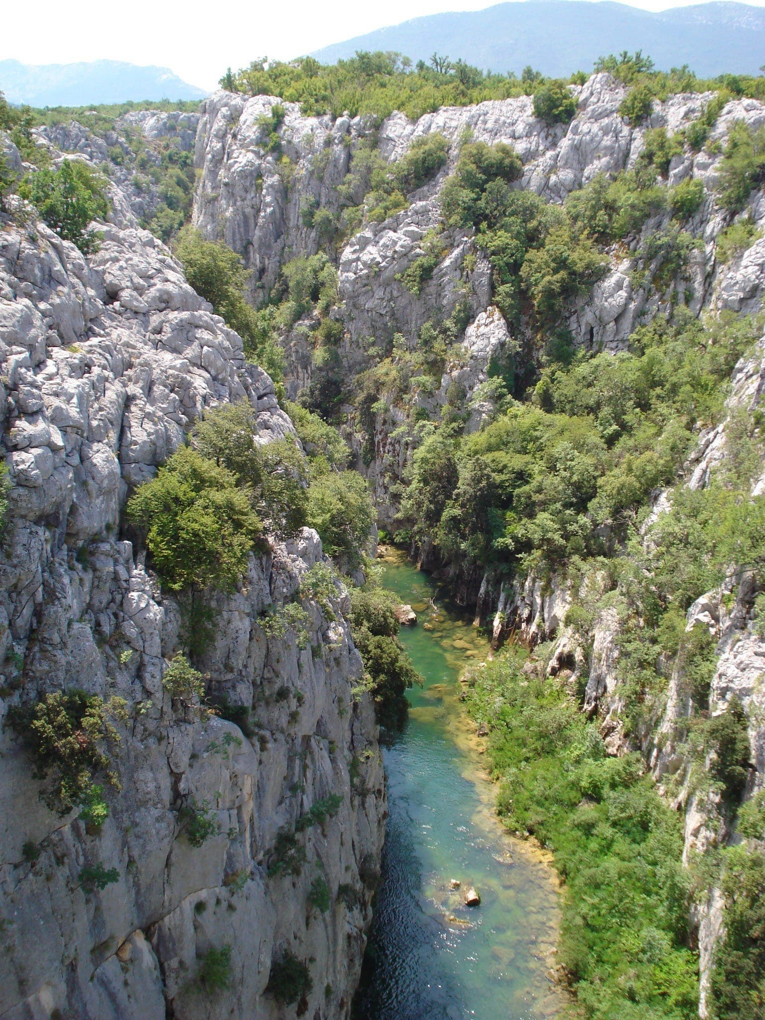 Ripide scogliere calcaree e una rigogliosa vegetazione costeggiano il limpido fiume azzurro Cetina mentre scorre sinuoso attraverso il Canyon del Cetina vicino a Split.
