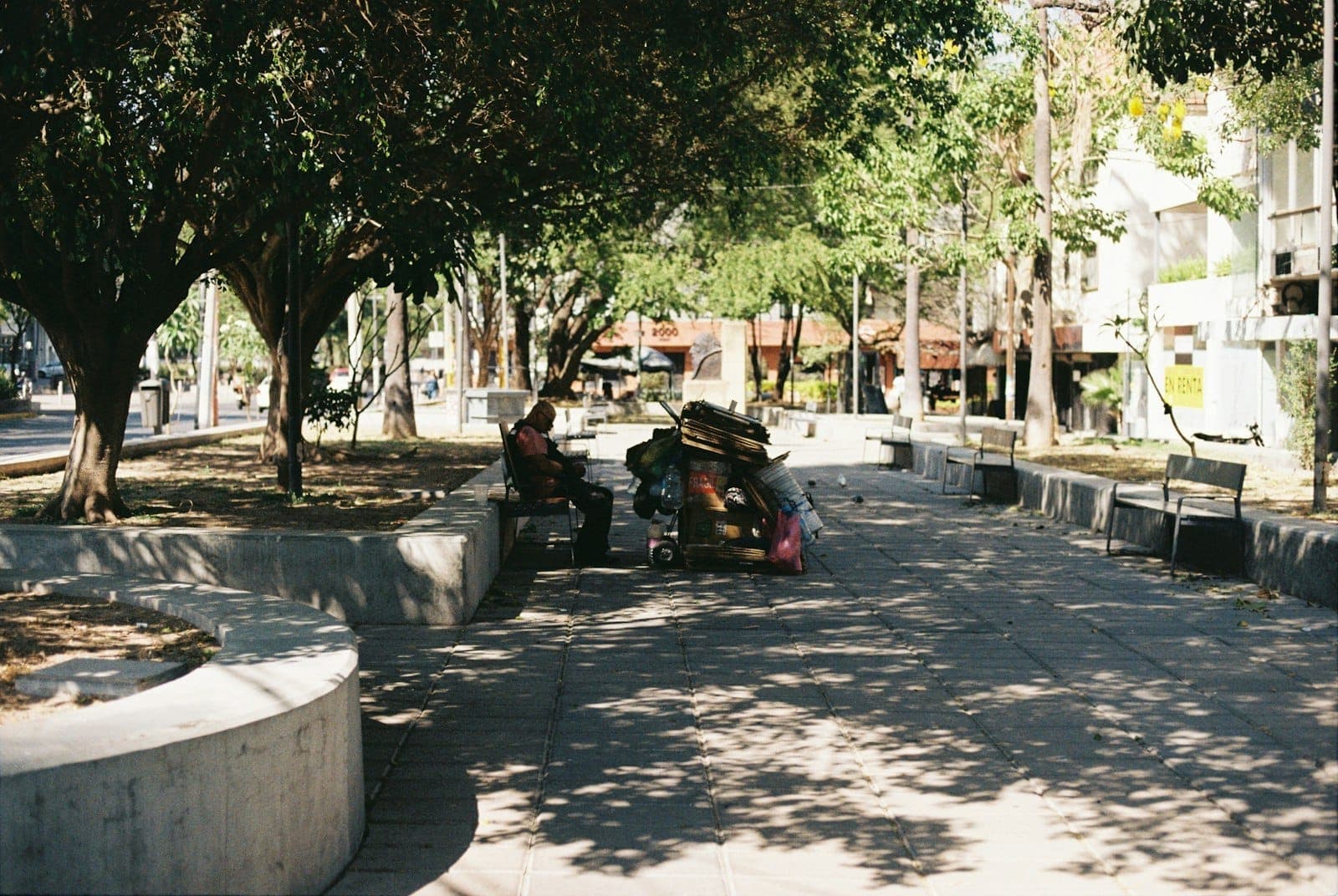 ถนนคนเดินร่มรื่นต้นไม้บน Avenida Chapultepec มีม้านั่งคอนกรีต แสงแดดส่องผ่านใบไม้ และผู้คนพักผ่อนในวันที่อบอุ่น