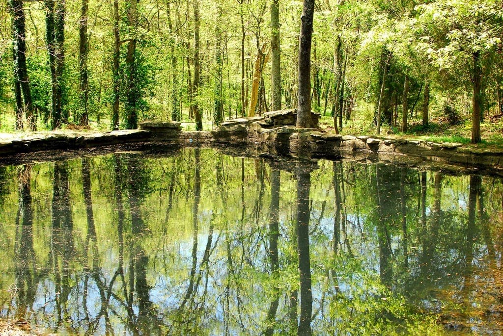 A tranquil pond at Cheekwood Estate & Gardens reflecting tall green trees and stone edging on a sunny spring day.