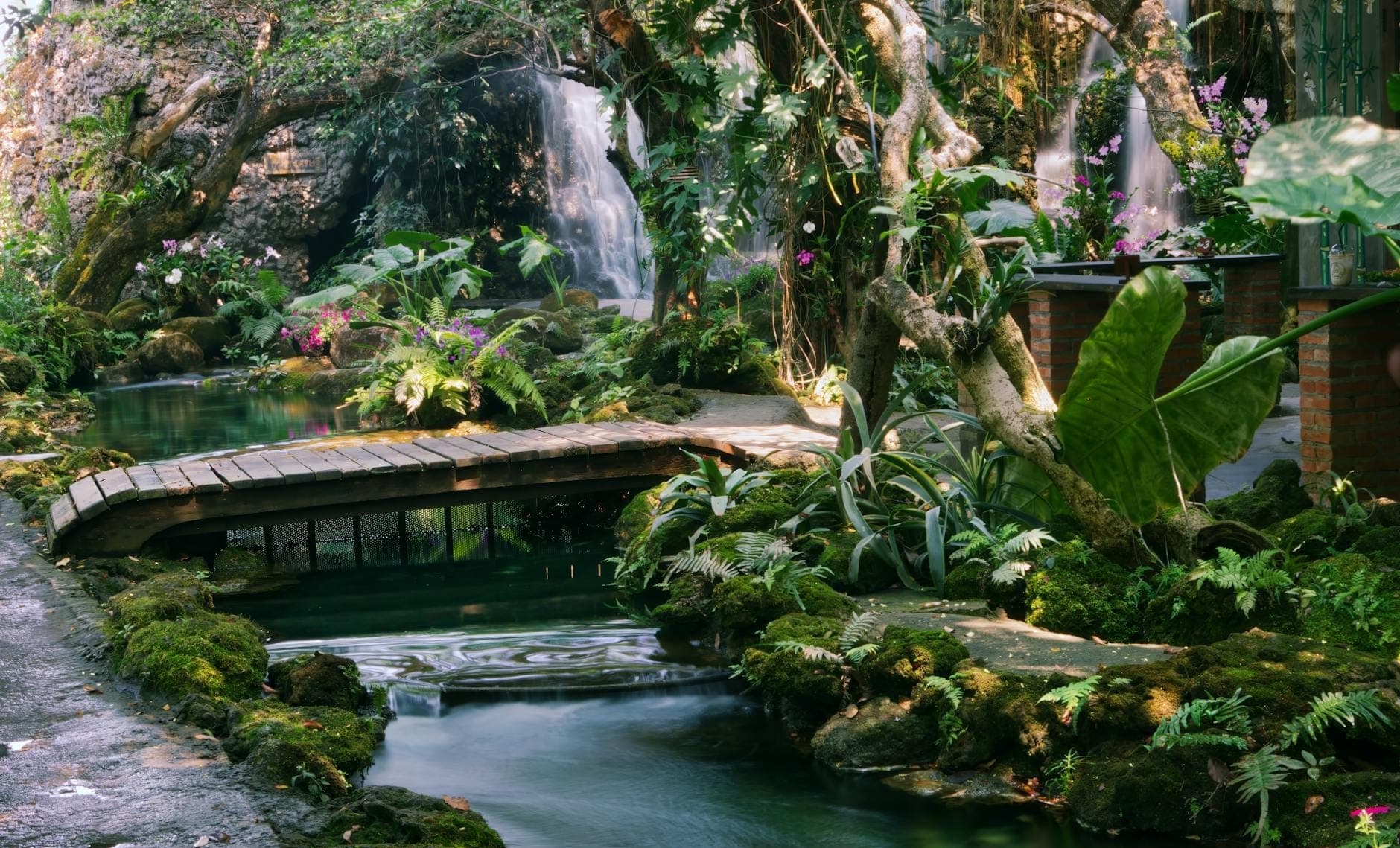 Üppiger versteckter Garten mit einer kleinen Holzbrücke über einen Bach, umgeben von tropischen Pflanzen und zwei Wasserfällen zwischen den Bäumen in Chiang Mai.