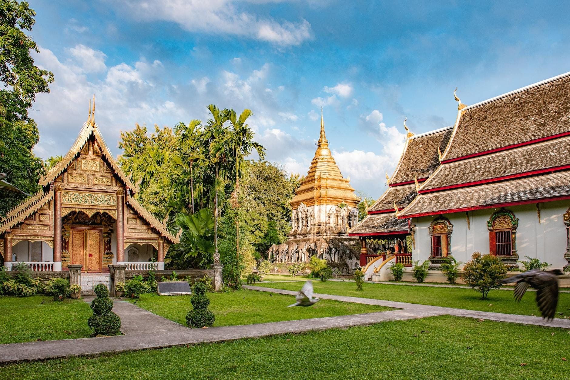 Beeindruckender Blick auf den goldenen Chedi, prachtvolle Tempelgebäude und üppige Gärten des Wat Phra Singh in Chiang Mai unter einem lebhaften blauen Himmel mit vereinzelten Wolken.