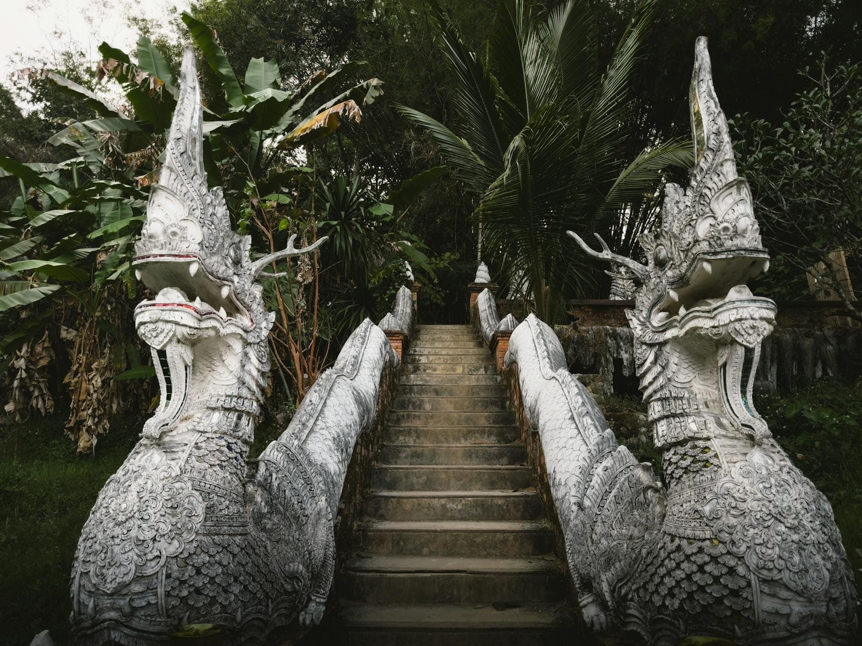 Escalinata de piedra con nagas que asciende entre la vegetación de la jungla, sugiriendo la entrada a un templo oculto en una zona boscosa a las afueras de Chiang Mai.