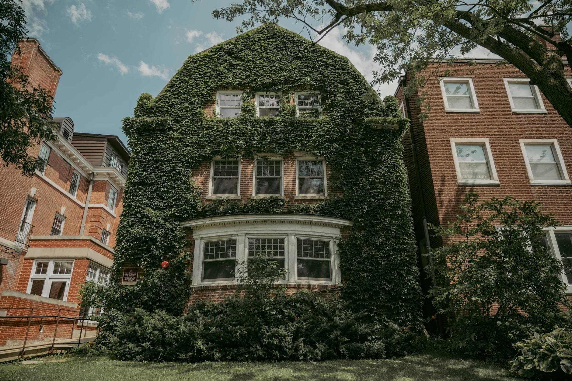 Casa histórica cubierta de hiedra con características de estilo pradera y ventanas en saliente, flanqueada por edificios de ladrillo en un frondoso barrio de Chicago.