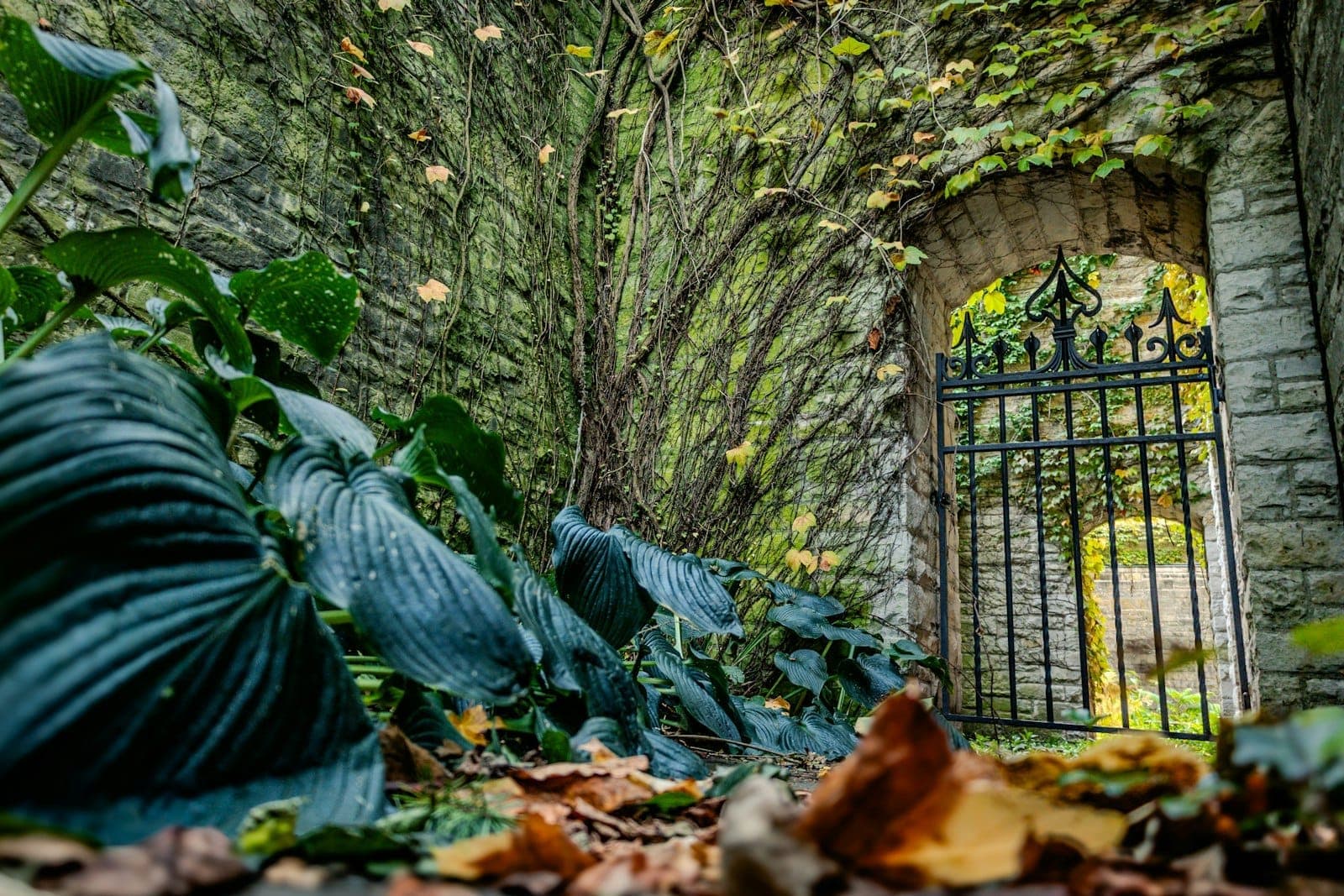 Arco de piedra y verja de hierro ornamental rodeados de exuberante follaje, que sugieren un jardín oculto o histórico o un paseo por un cementerio.