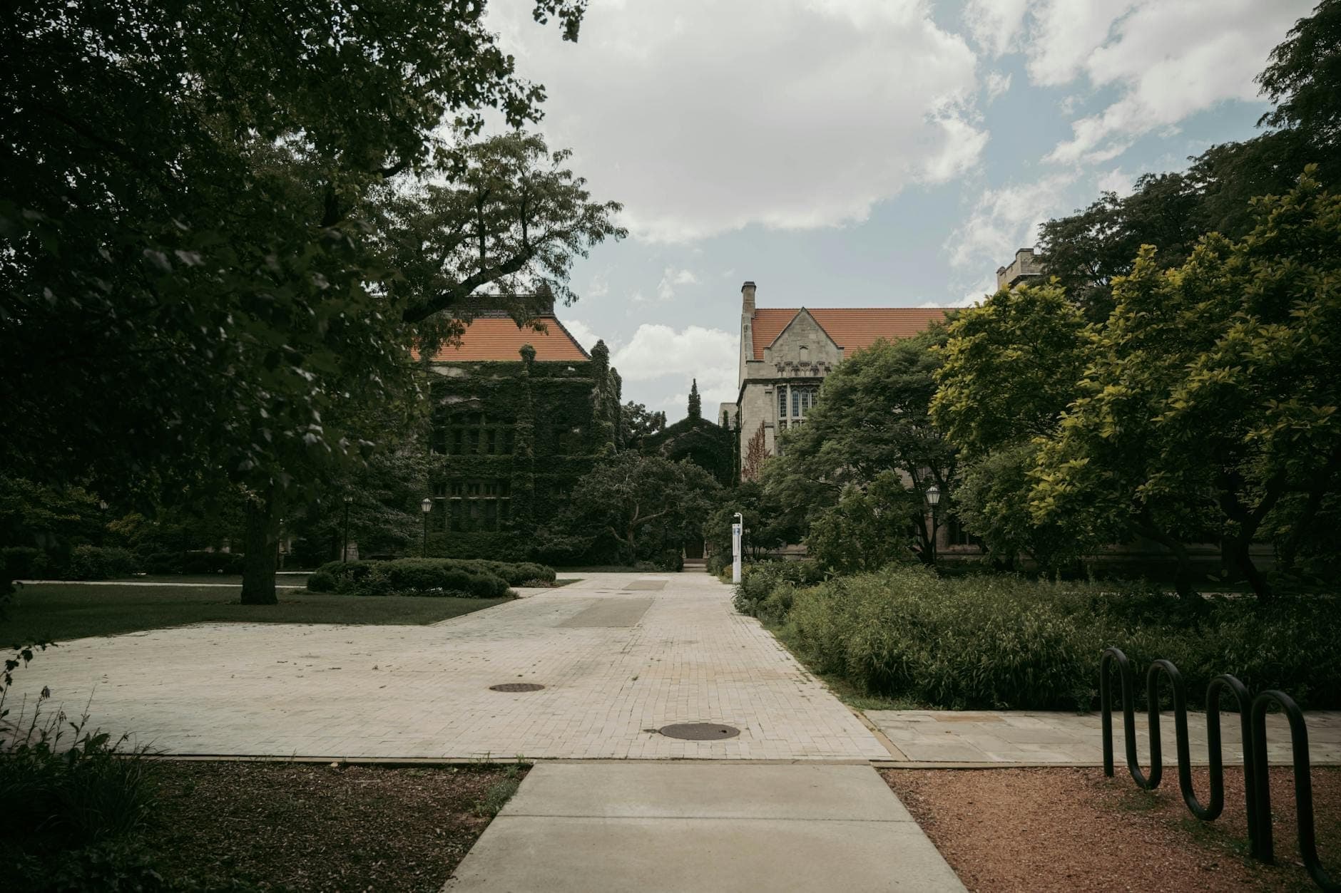 Pathway and greenery lead to historic, collegiate Gothic-style buildings set back from the street in a leafy Chicago campus neighborhood.