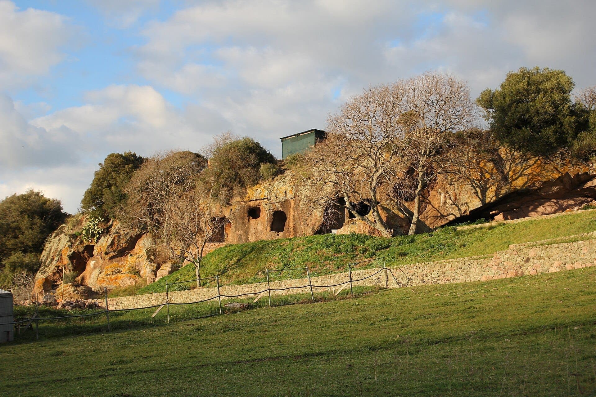 Vista de la necrópolis del Complesso di Sant'Andrea Priu con entradas a tumbas excavadas en la roca, hierba verde, árboles sin hojas y un cielo parcialmente nublado.
