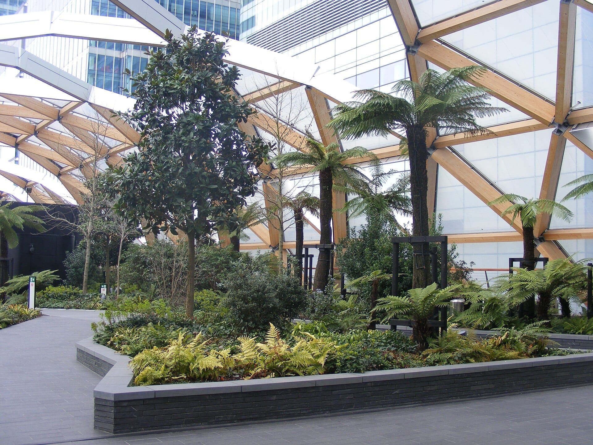 Bujna zieleń, paprocie i drzewa kwitną pod drewniano-szklanym zadaszeniem Crossrail Place Roof Garden w Canary Wharf w Londynie.