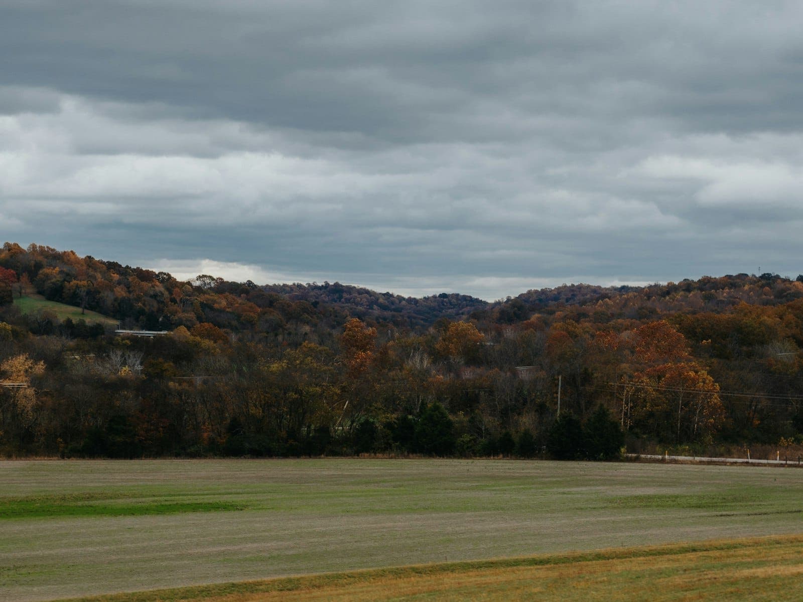 Colline ondulate e alberi autunnali sotto un cielo nuvoloso alla periferia di Nashville, con campi aperti in primo piano.