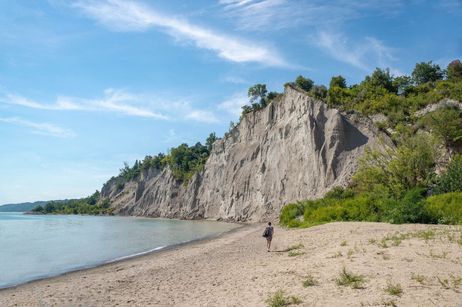 Amplia playa de arena con una sola persona caminando, espectaculares acantilados blancos, árboles verdes y cielo azul en Scarborough Bluffs, Toronto.