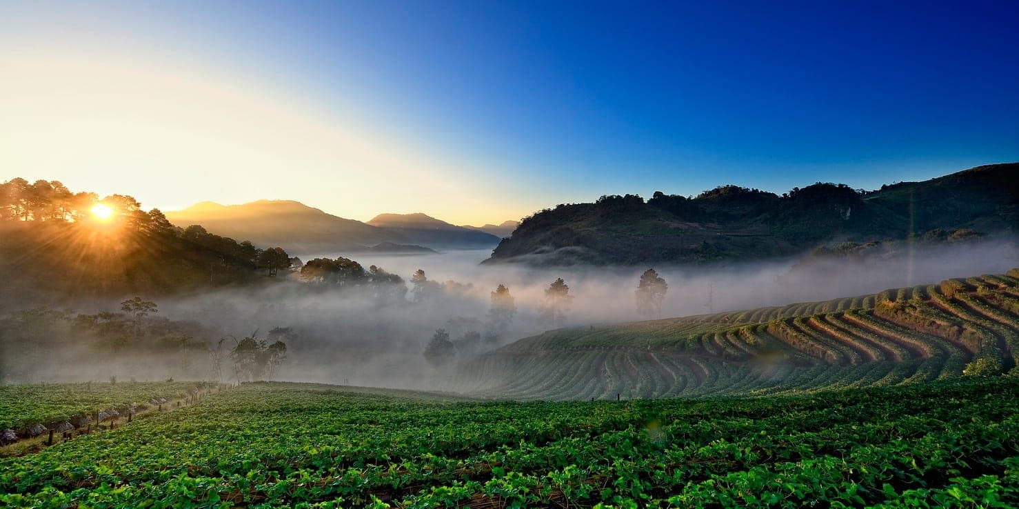 Der Sonnenaufgang beleuchtet die Terrassenfelder und nebligen Hänge der Königlichen Landwirtschaftsstation Doi Ang Khang in Chiang Mai, umgeben von üppig grünen Nutzpflanzen.