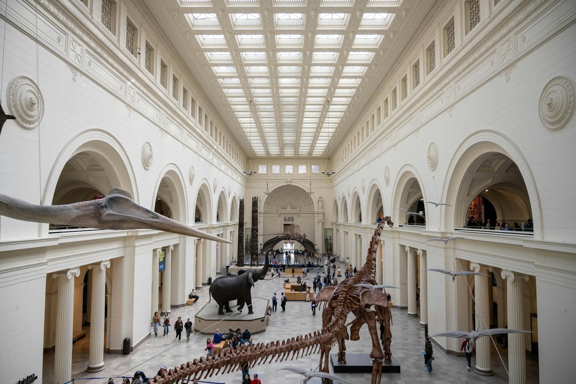 Grand hall inside the Field Museum of Natural History featuring dinosaur skeletons, soaring ceilings, and visitors exploring exhibits in a bright, expansive space.