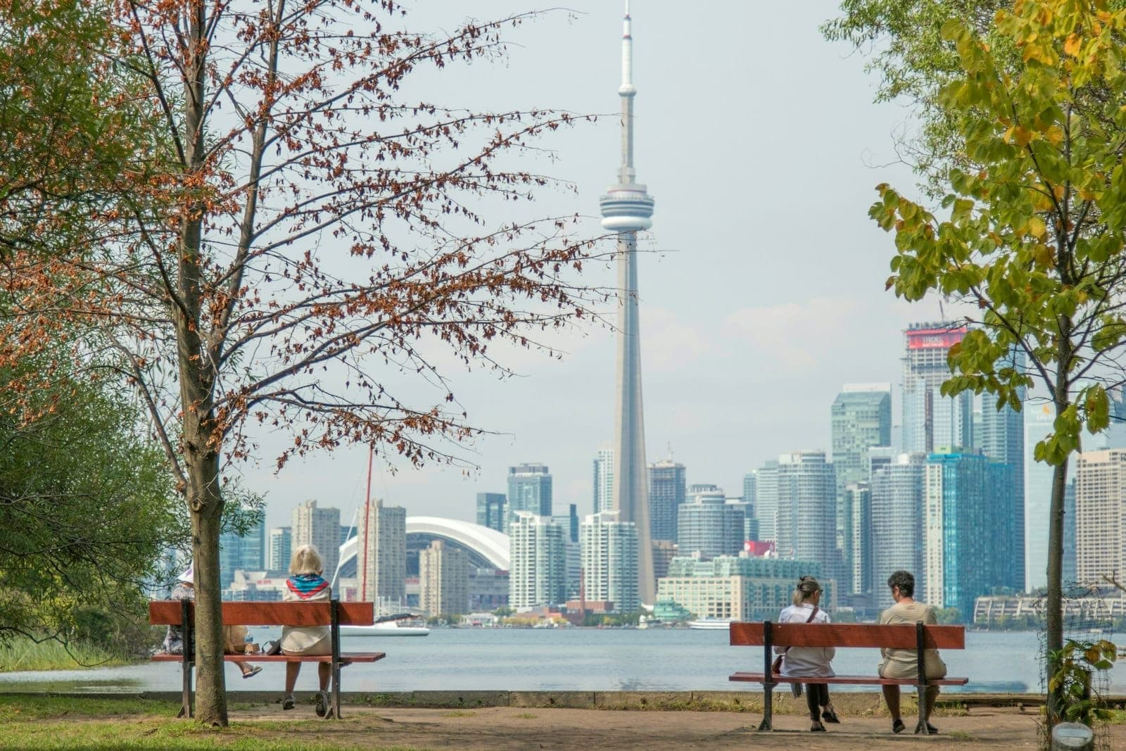 Panchine in un parco sul lungofiume con vista chiara dello skyline di Toronto, inclusa la CN Tower, in una giornata tranquilla con alberi in primo piano.
