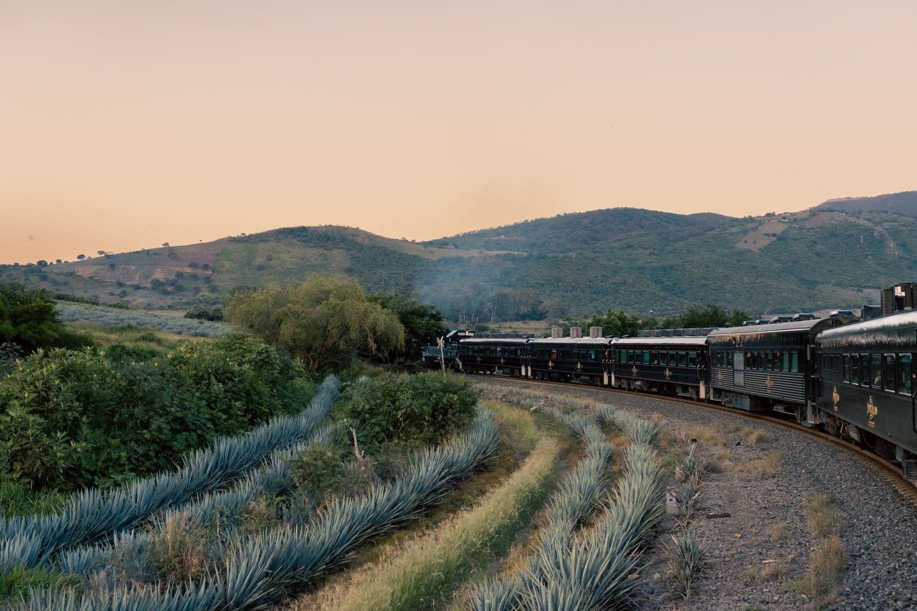 รถไฟแล่นผ่านทุ่งอากาเวพร้อมวิวภูเขาเป็นฉากหลังยามพระอาทิตย์ตกดินใกล้ Tequila เหมาะสำหรับทริปเดย์ทริปจาก Guadalajara