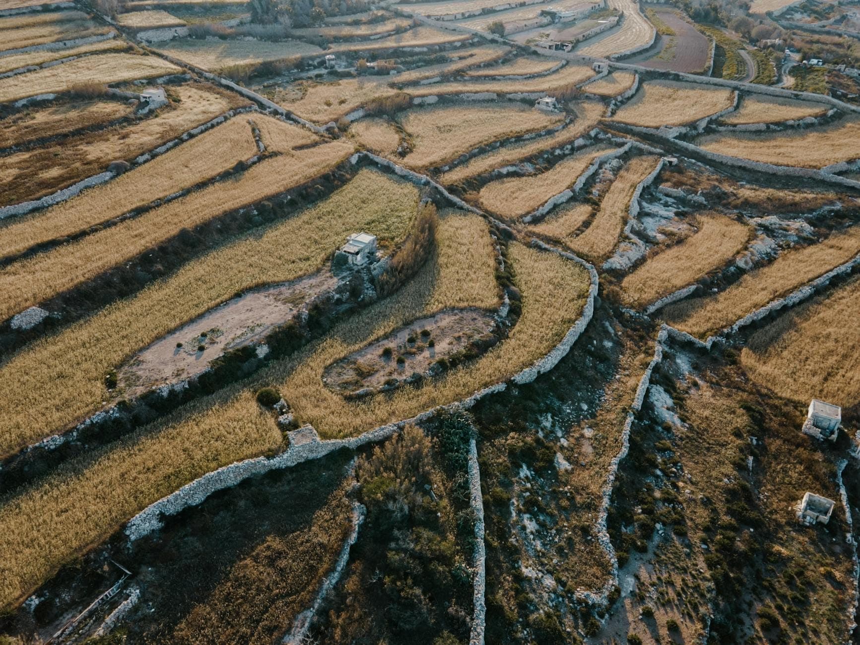 Luftaufnahme der ländlichen Landschaft Maltas mit von Steinmauern eingefassten Parzellen und alten Gebäuden, verstreut zwischen goldenen Feldern.