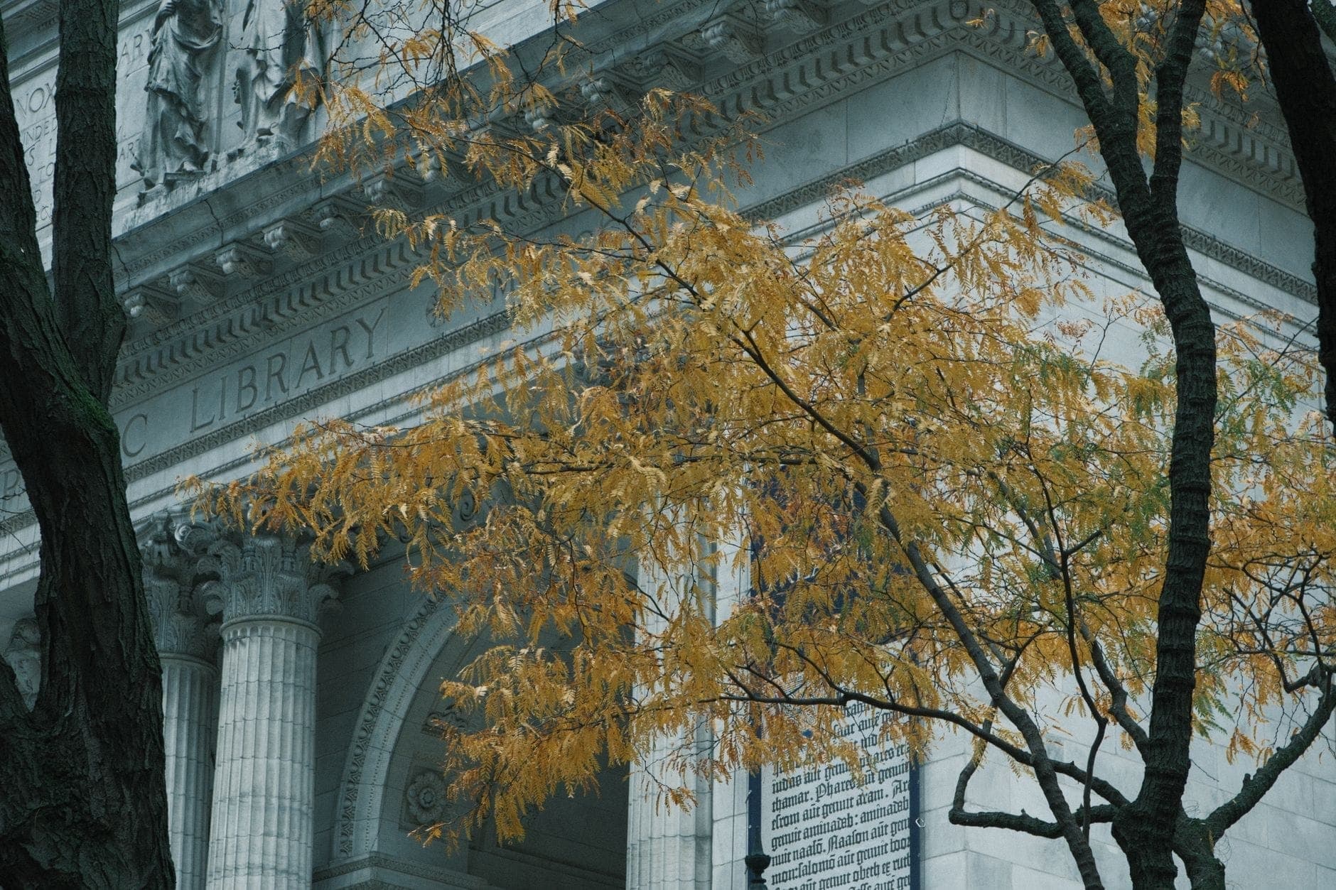 ด้านหน้าของ New York Public Library พร้อมเสาแบบคลาสสิก ต้นไม้ใบสีเหลืองประดับกรอบอาคาร