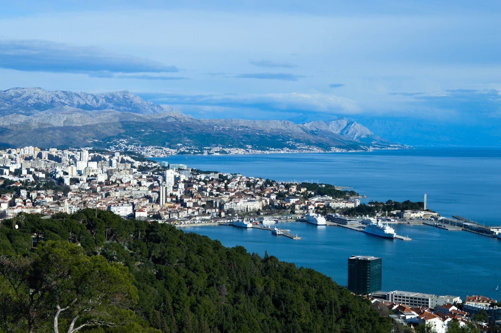 Vista panoramica di Spalato da un punto panoramico elevato sulla collina di Marjan, con la città, il porto, il mare e una lussureggiante pineta in primo piano.