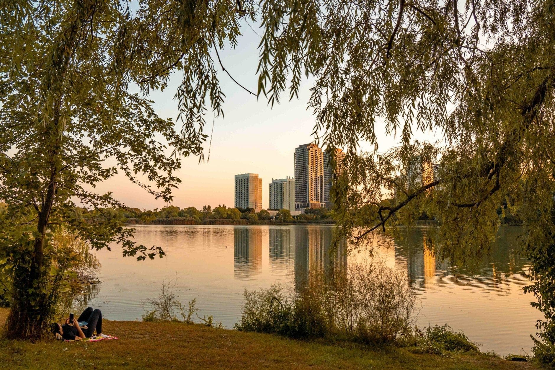 Scena tranquilla sul lago a High Park al tramonto, con alberi che incorniciano il paesaggio, grattacieli riflessi nell'acqua e persone che si rilassano sull'erba.