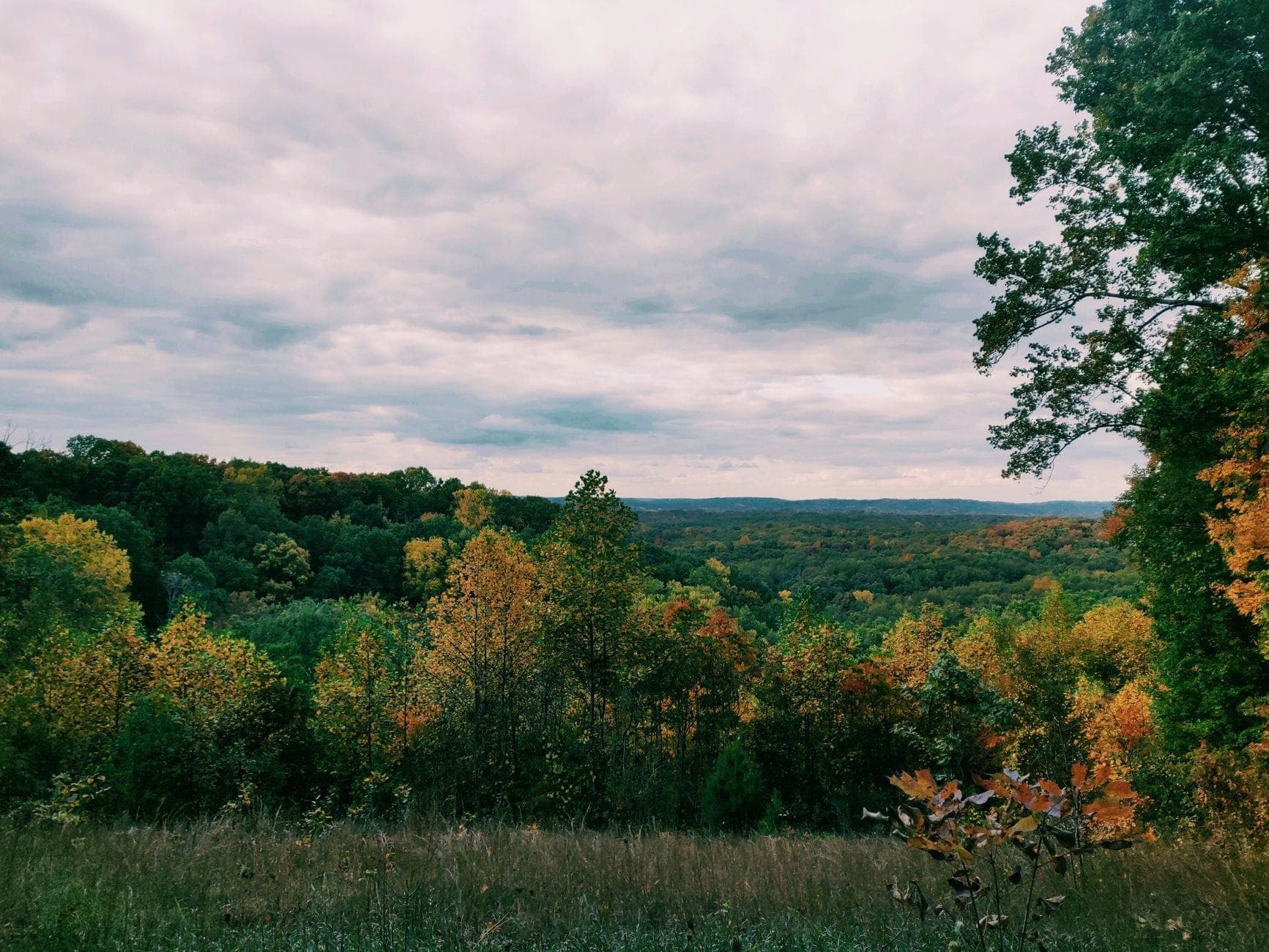 Best Hiking Near Nashville: Top Trails and Nature Parks