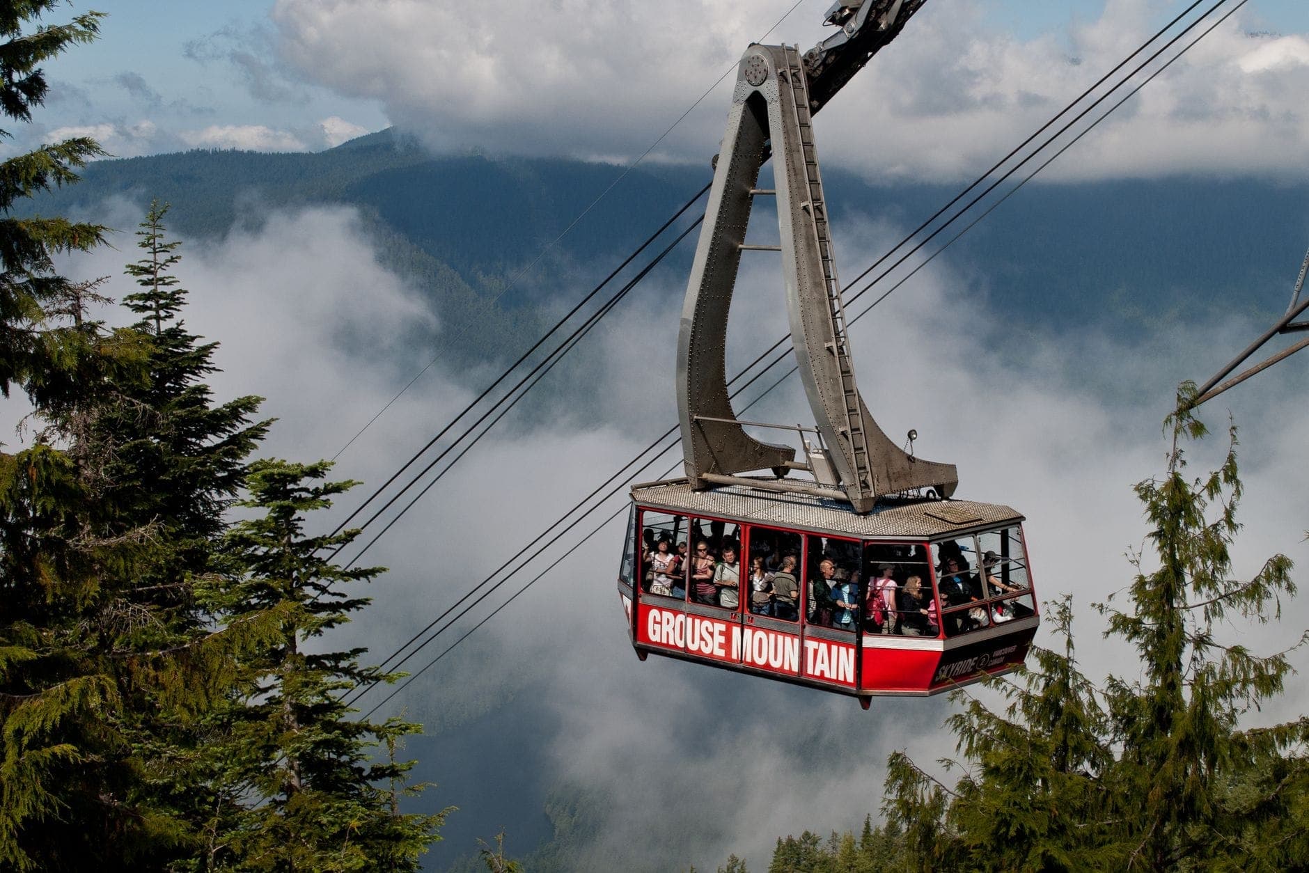 กระเช้าไฟฟ้าของ Grouse Mountain พาผู้คนลอยสูงเหนือต้นไม้เขียวชอุ่มโดยมีเทือกเขา North Shore ที่เต็มไปด้วยหมอกเป็นฉากหลัง