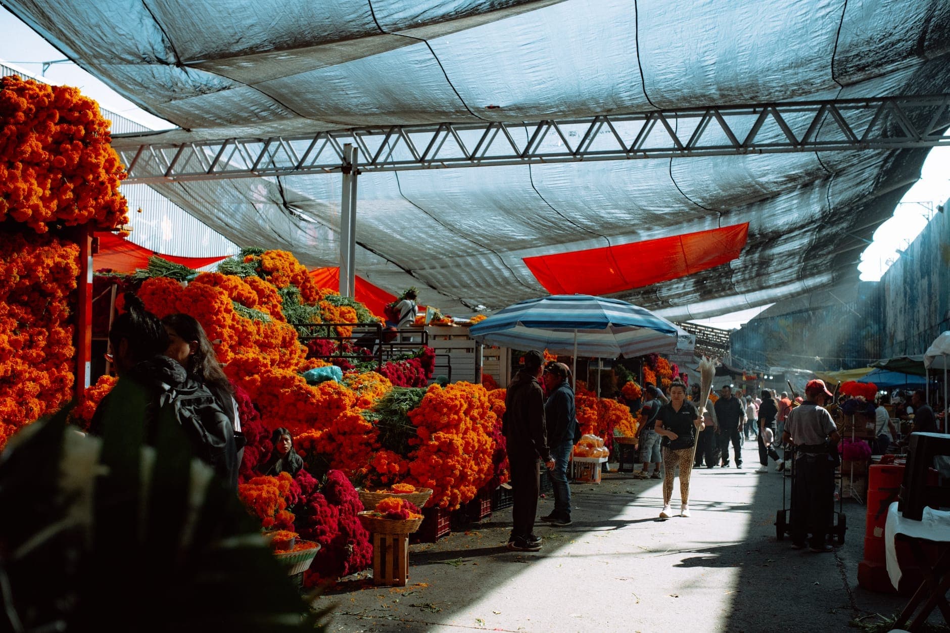 ตลาดกลางแจ้งมีหลังคาในเมือง Guadalajara ที่มีผู้คนเดินผ่านแผงขายดอกดาวเรือง สะท้อนบรรยากาศคึกคักและแออัดที่เป็นเอกลักษณ์ของตลาดท้องถิ่น