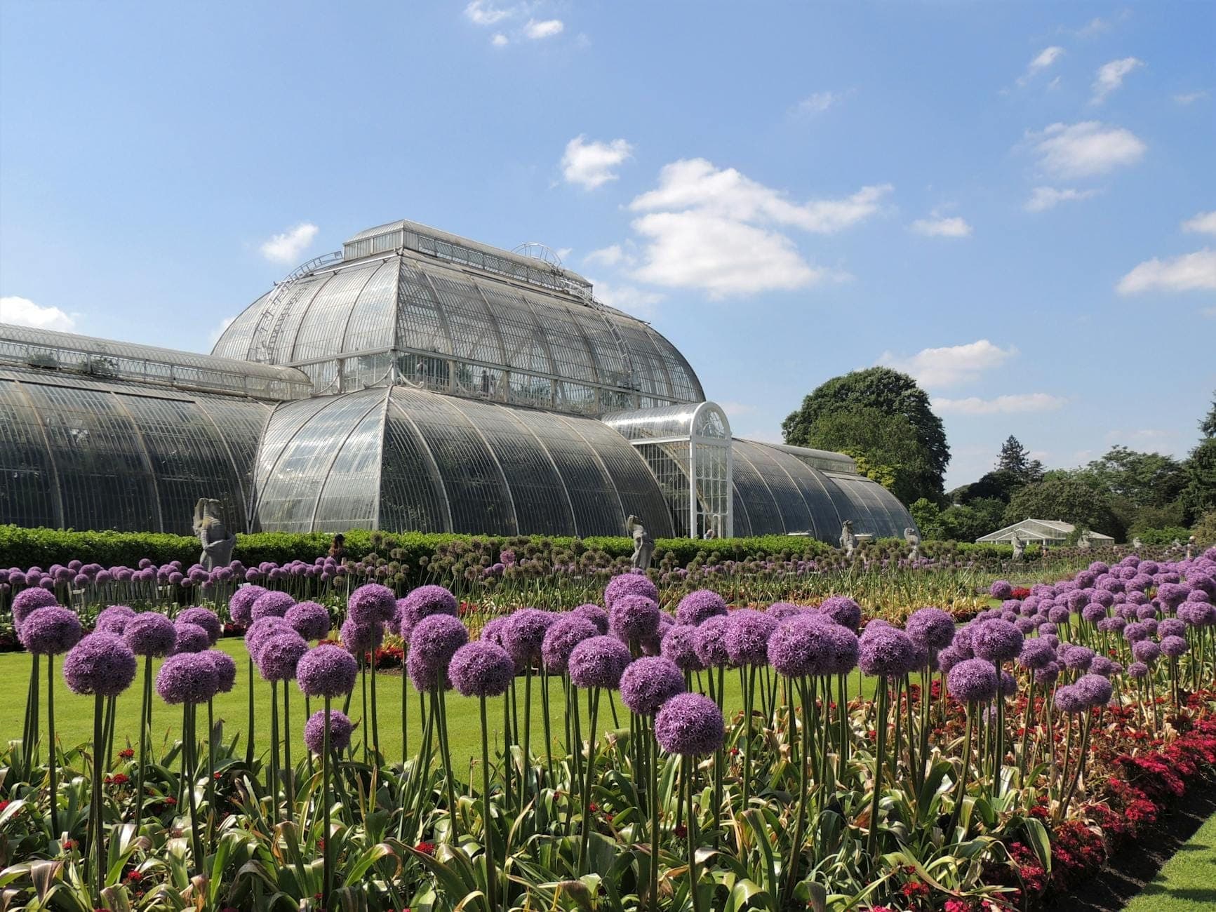 Großes viktorianisches Gewächshaus in den Kew Gardens mit gepflegtem Rasen und blühenden lila Blumen unter strahlend blauem Himmel.