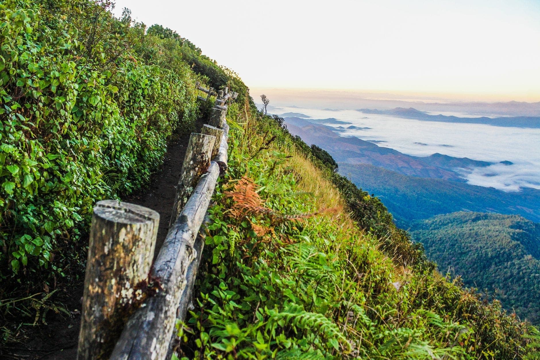 Ein hölzernes Geländer säumt einen üppig grünen Bergpfad mit Blick auf nebelverhangene Täler und ferne Gipfel – ein beeindruckender Blick auf die Hochlandlandschaft im Morgengrauen.