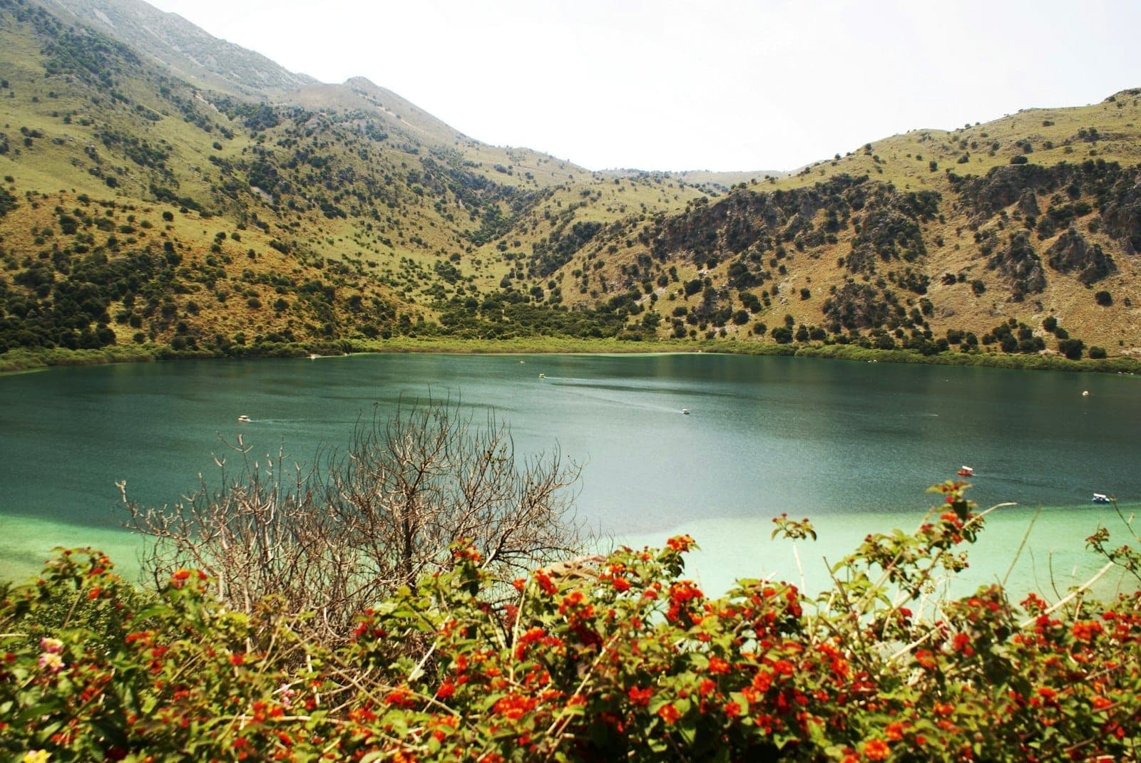 Ruhiger Süßwassersee, umgeben von grünen Hügeln, mit klarem Wasser und roten Blumen im Vordergrund unter strahlend blauem Himmel.