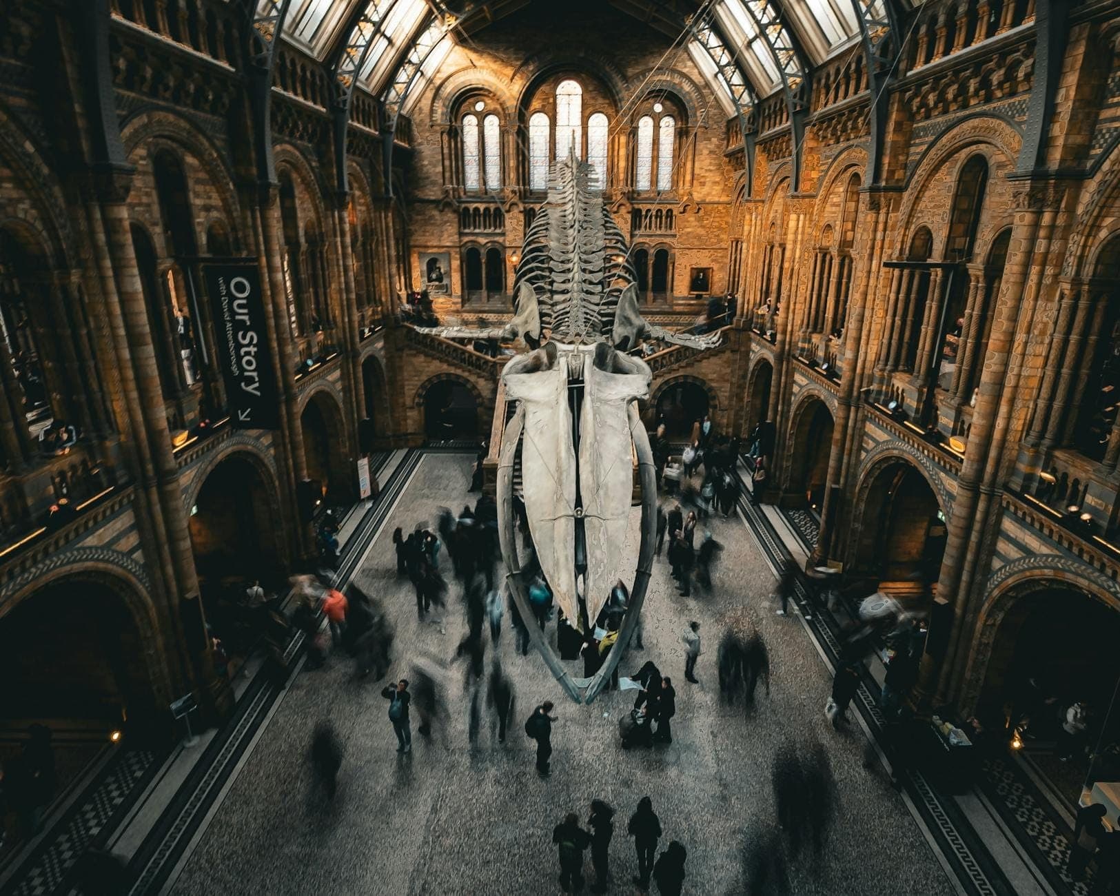 Un grande salone al Natural History Museum di Londra con uno scheletro completo di balena blu in mostra e visitatori che camminano sotto.